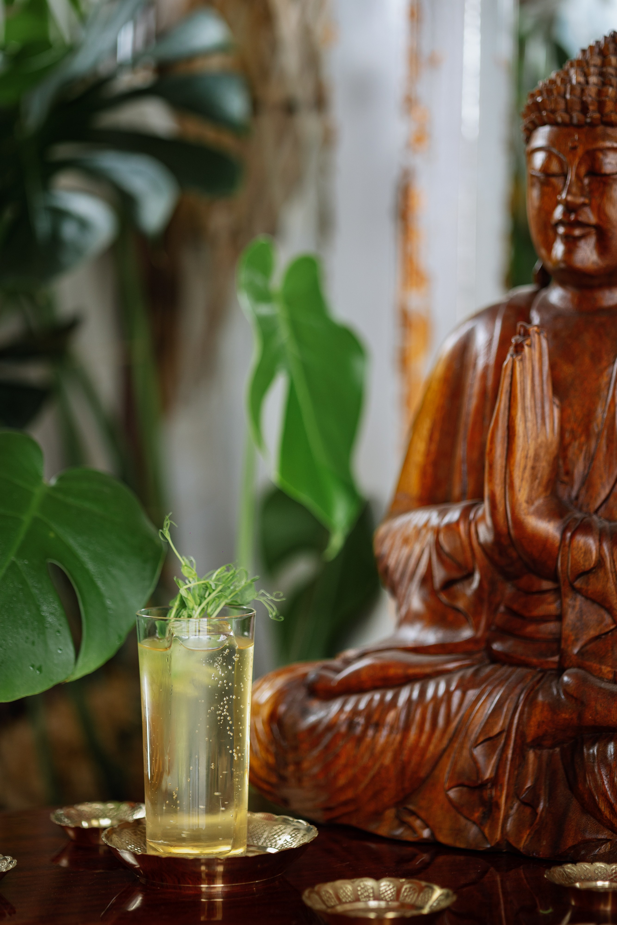 «Шалом & Шанти». Фото и видео контент за одну съемку — Веретенников Егор