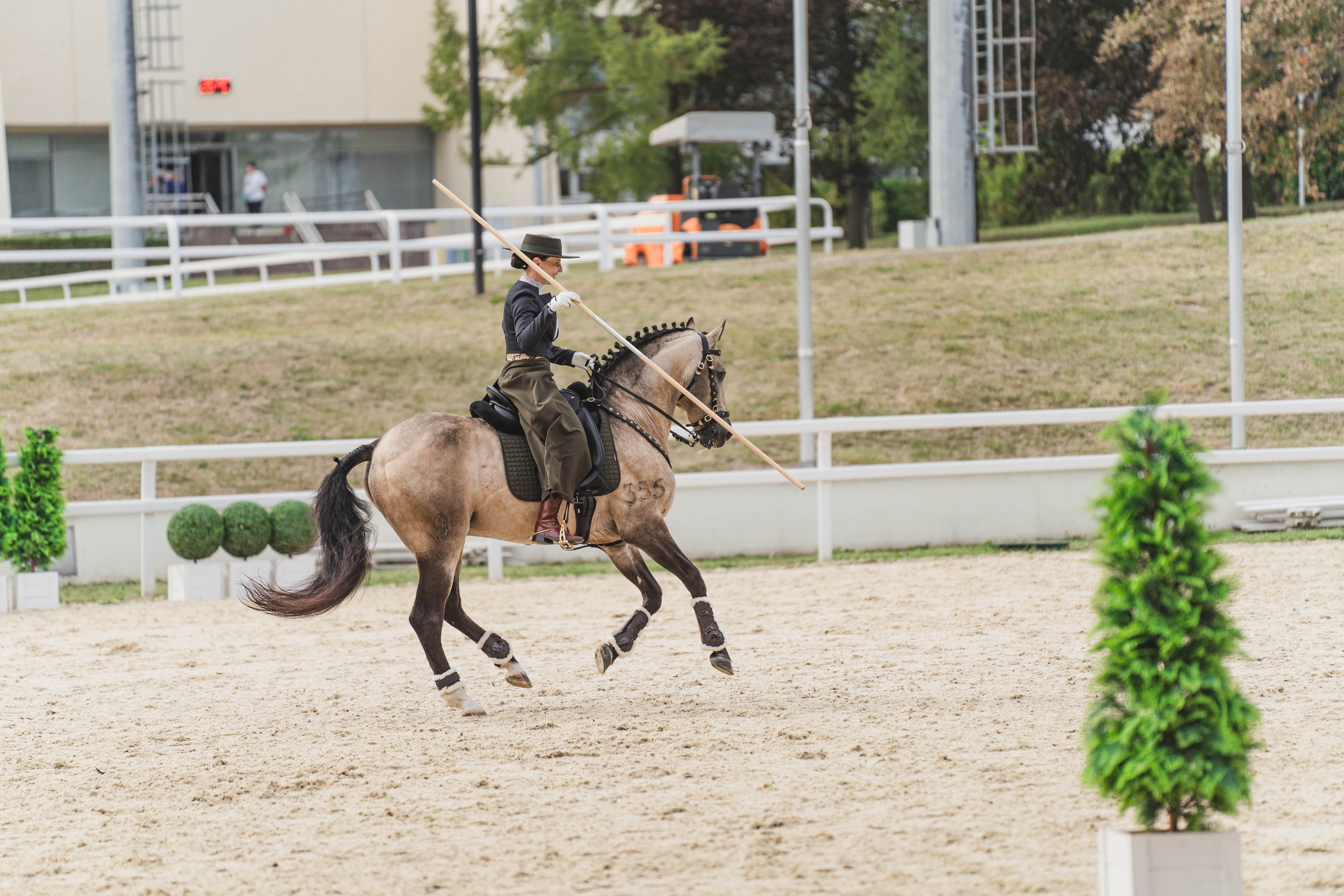 Мастер-класс по рабочей выездке. Фотограф в Москве Ленарская Дарья