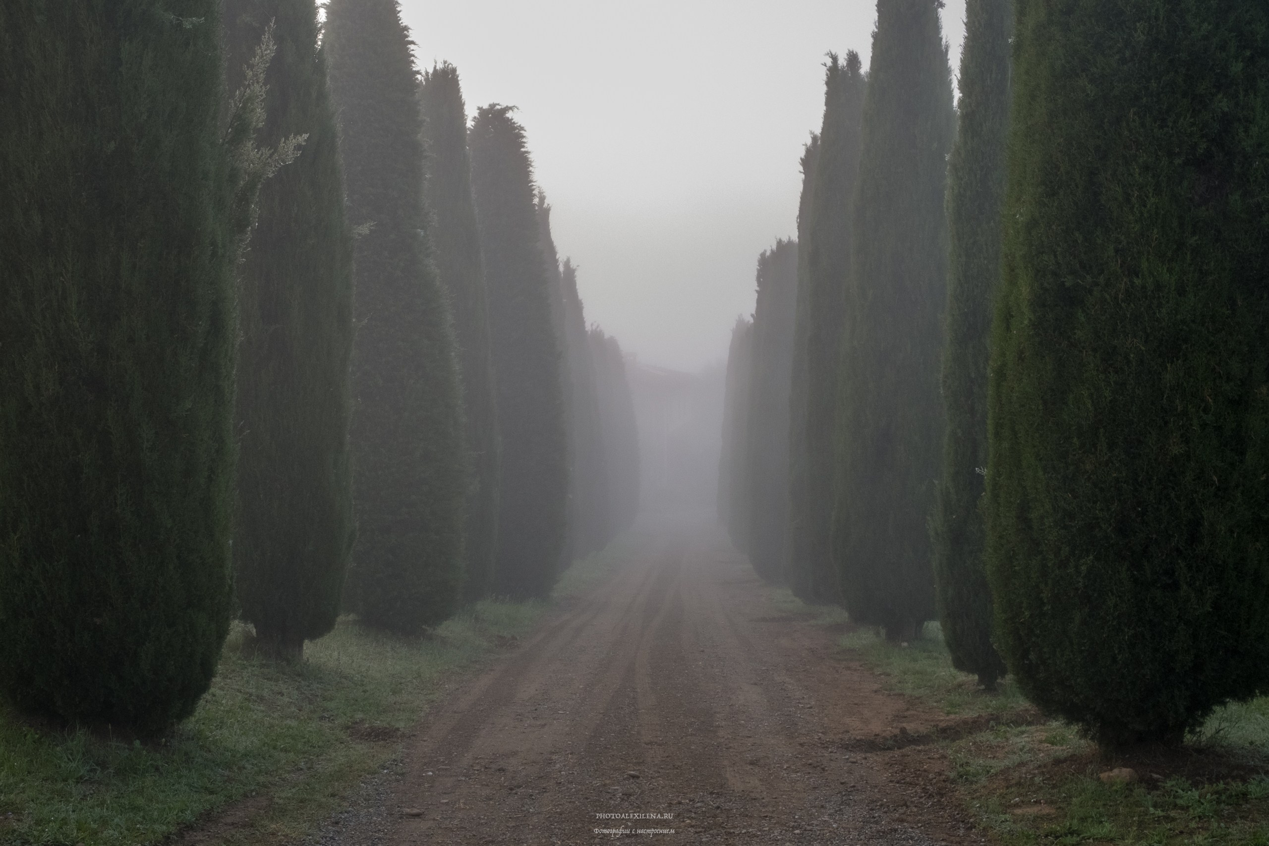 Великолепная Тоскана. Авторские стильные фотокартины