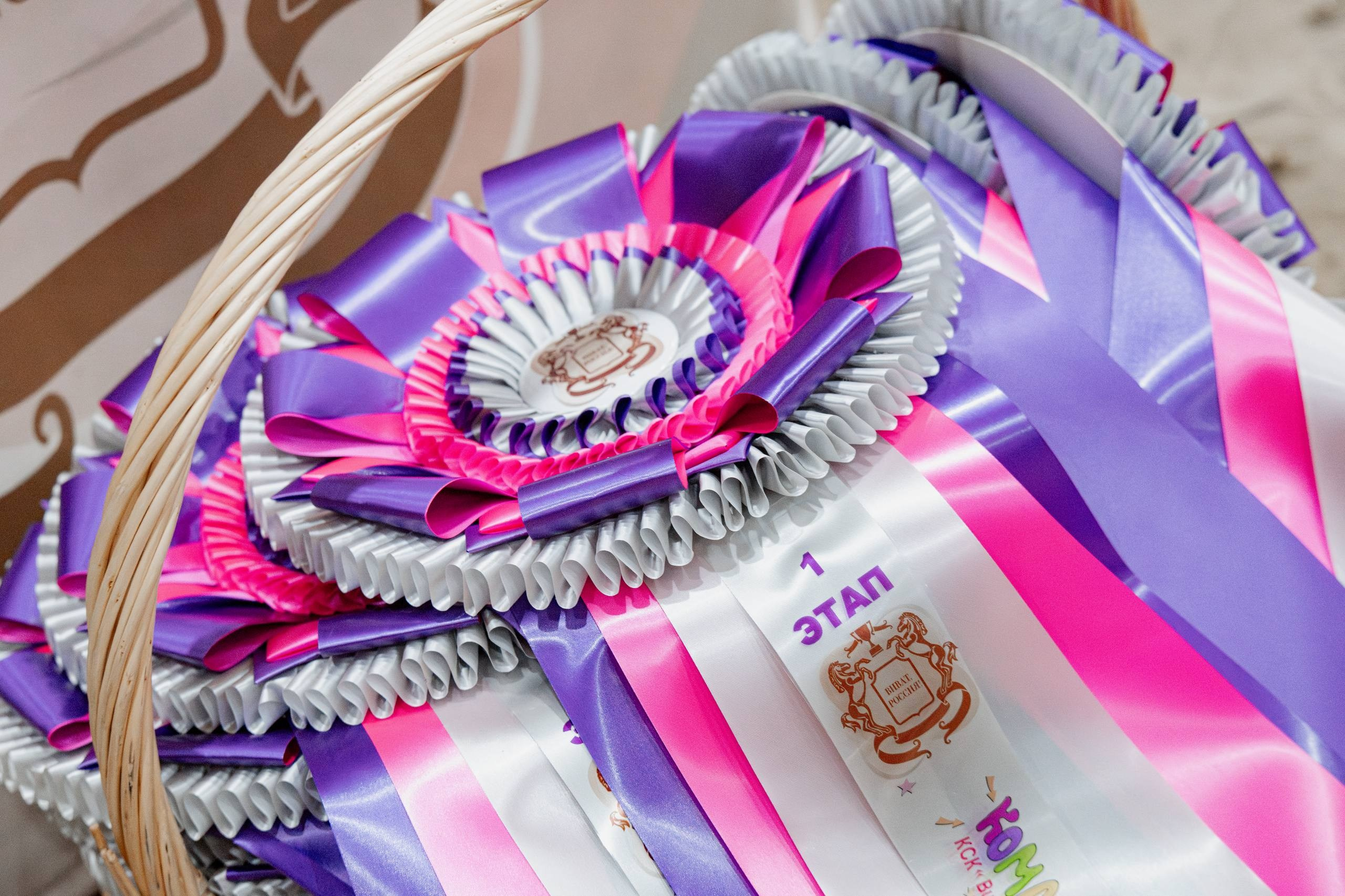 КЛУБНЫЕ СОРЕВНОВАНИЯ ПО КОНКУРУ «КОМАНДНЫЙ БУМ», 1 этап. Куракина Дарья • Конный фотограф