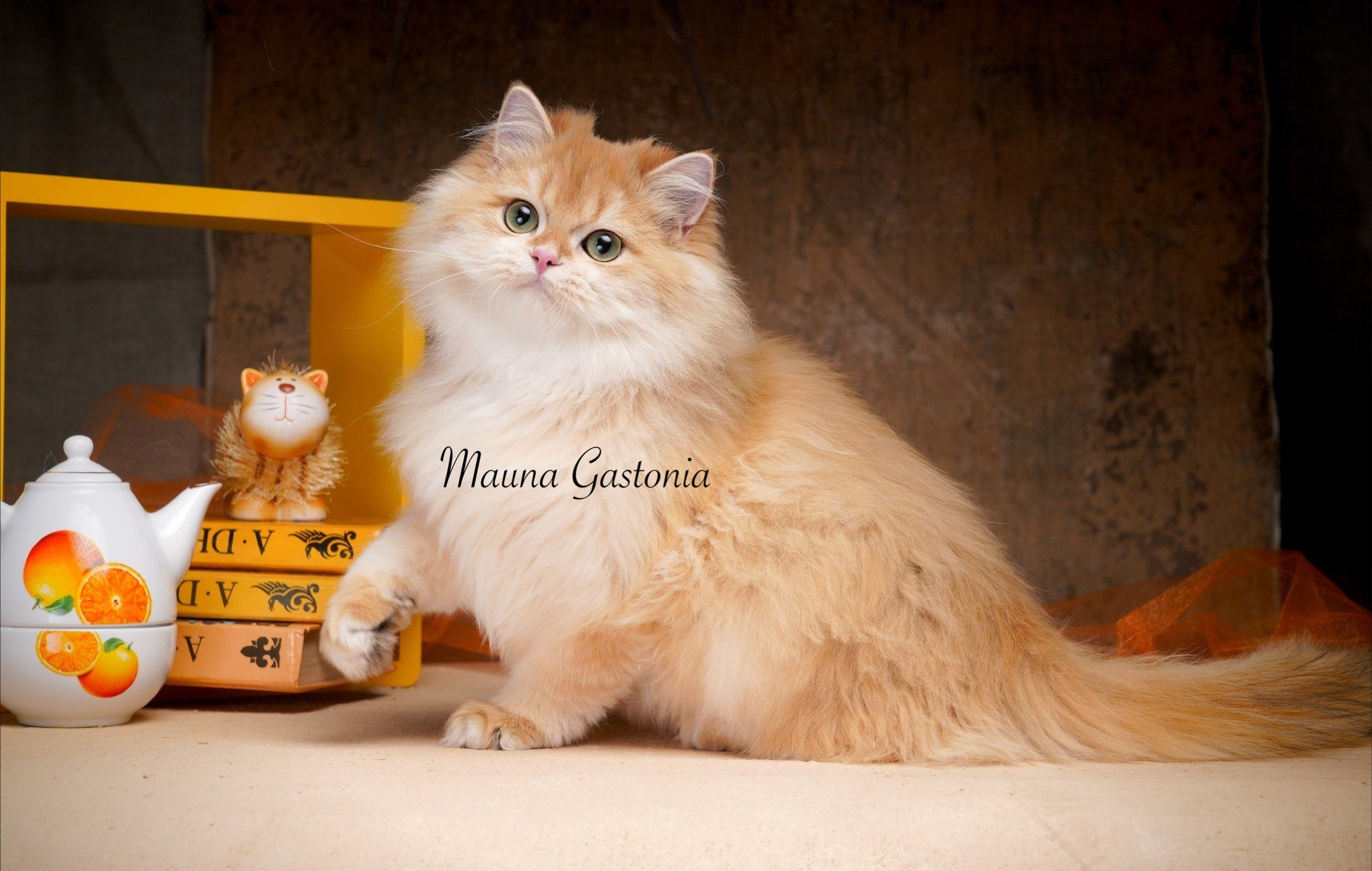 Germes. Mauna Gastonia