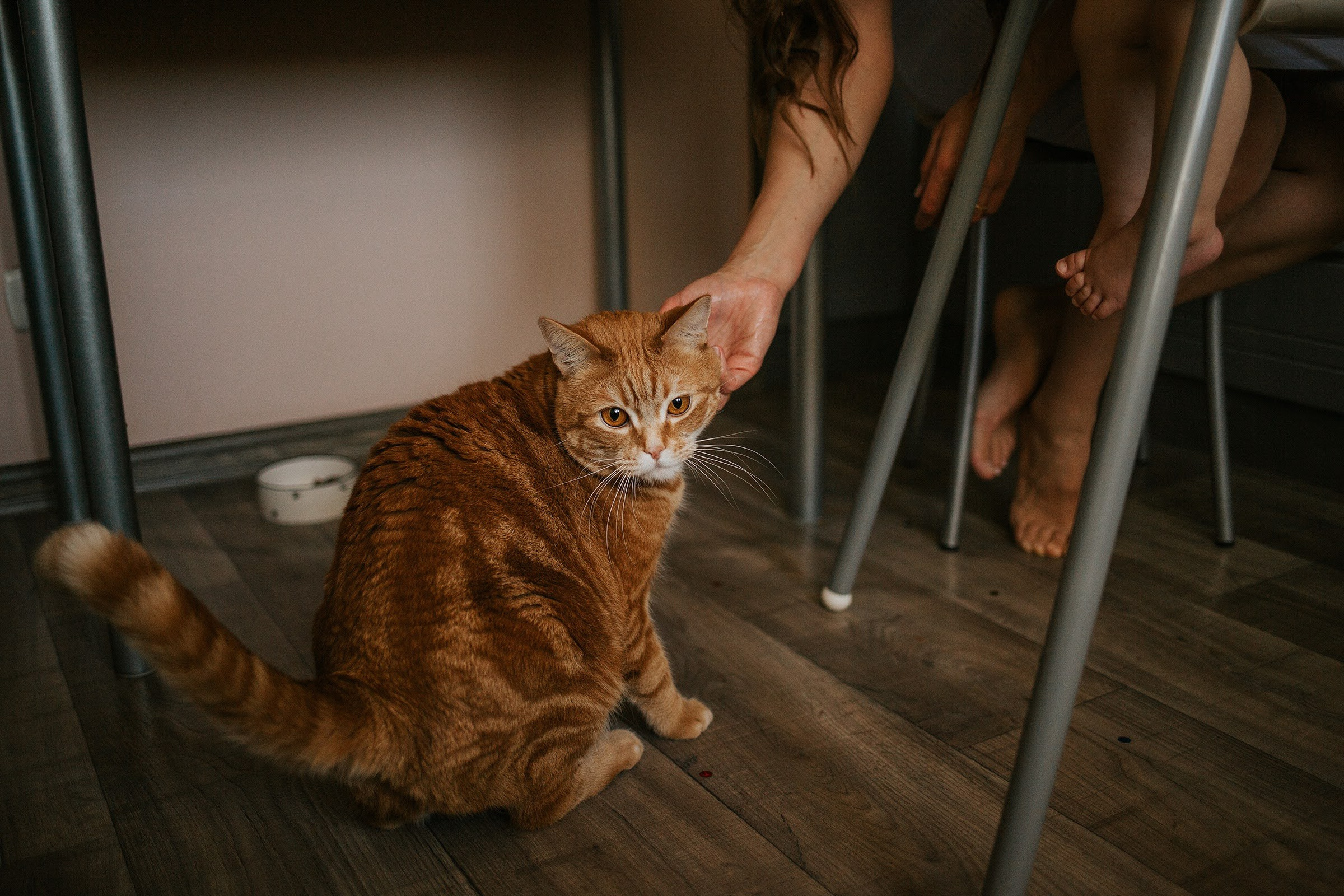 Домашняя съемка 7. Семейный домашний фотограф Москва Ивантеевка Пушкино Ирина Якштес