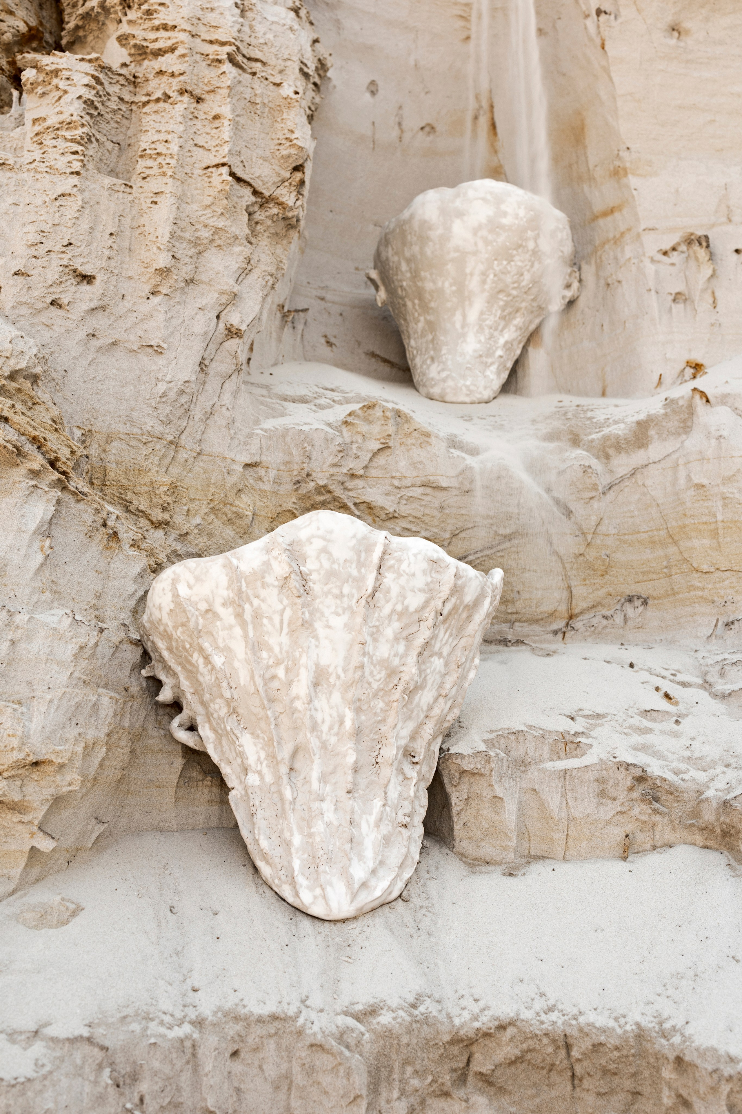 Amphostrea. Anna Atayan Photographer