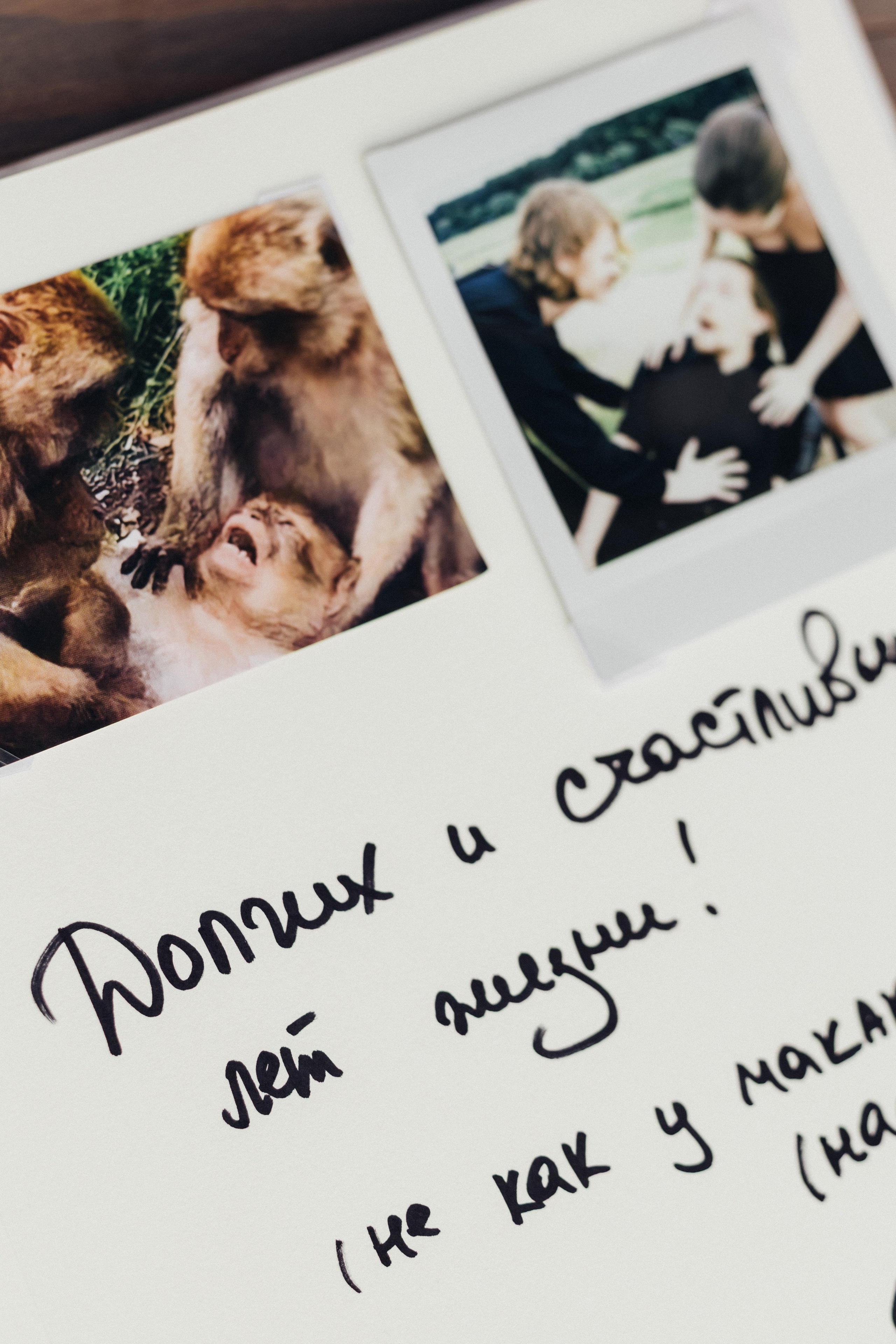 @avtors.agency. Свадебный и репортажный фотограф в Москве Владимир Сергеев | Naysaikolo