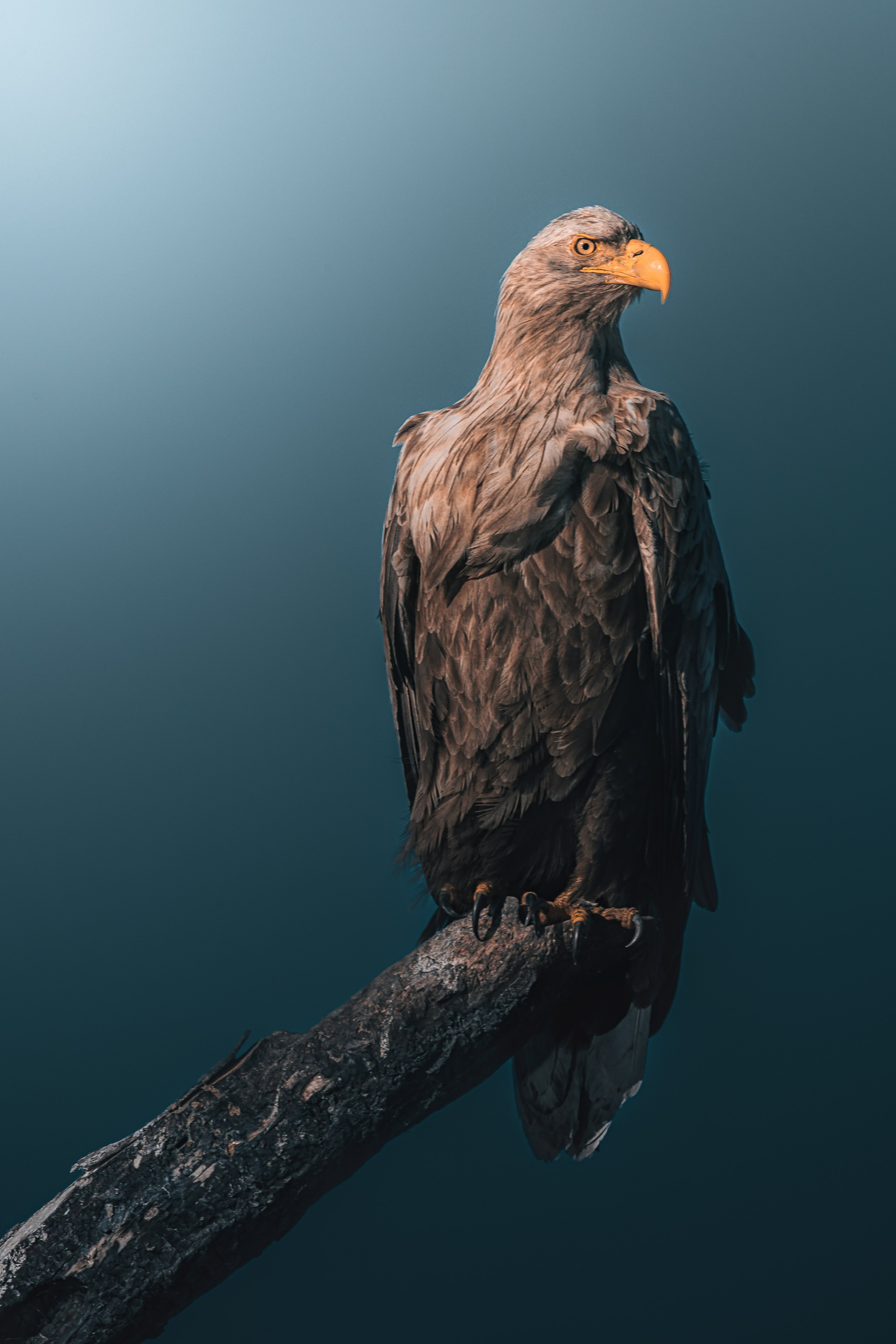 Астраханская область 2025 | Фотограф Дмитрий Купрацевич. Дмитрий Купрацевич профессиональный пейзажный и travel-фотограф