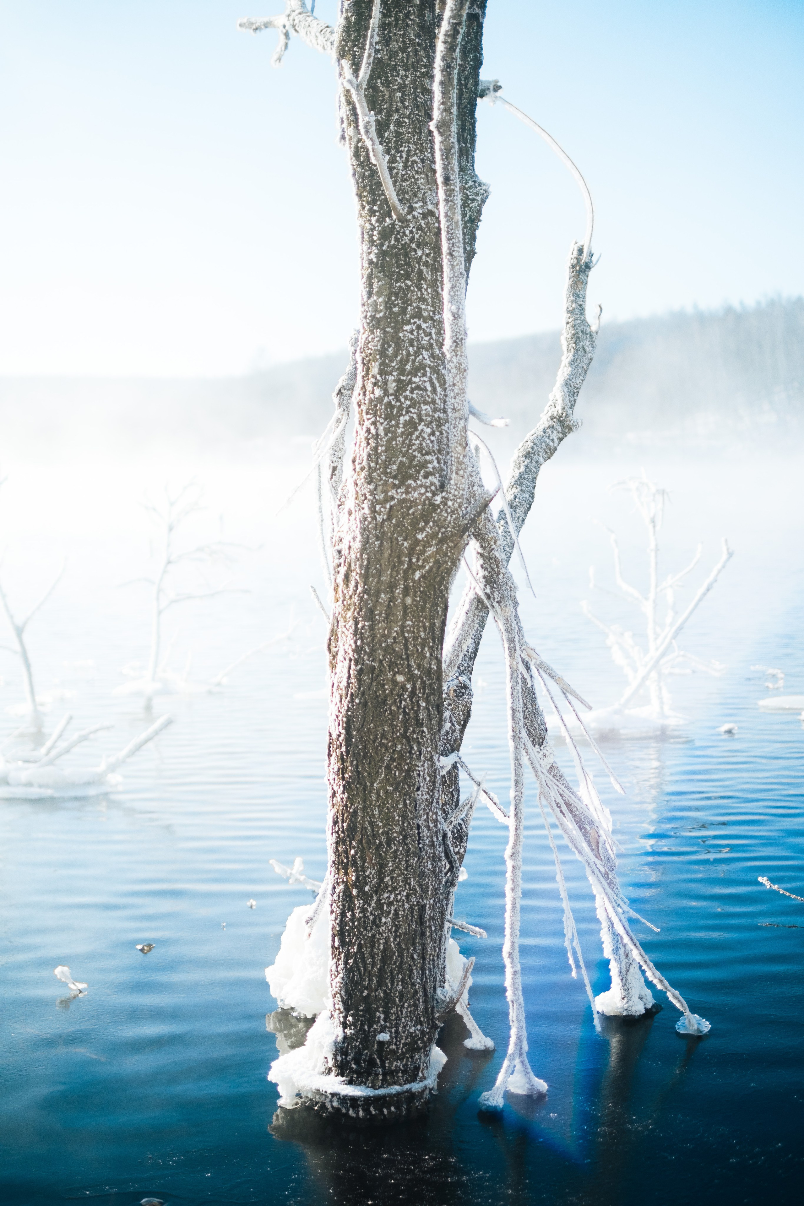 Курактачи. Фотограф Благовещенска Яна