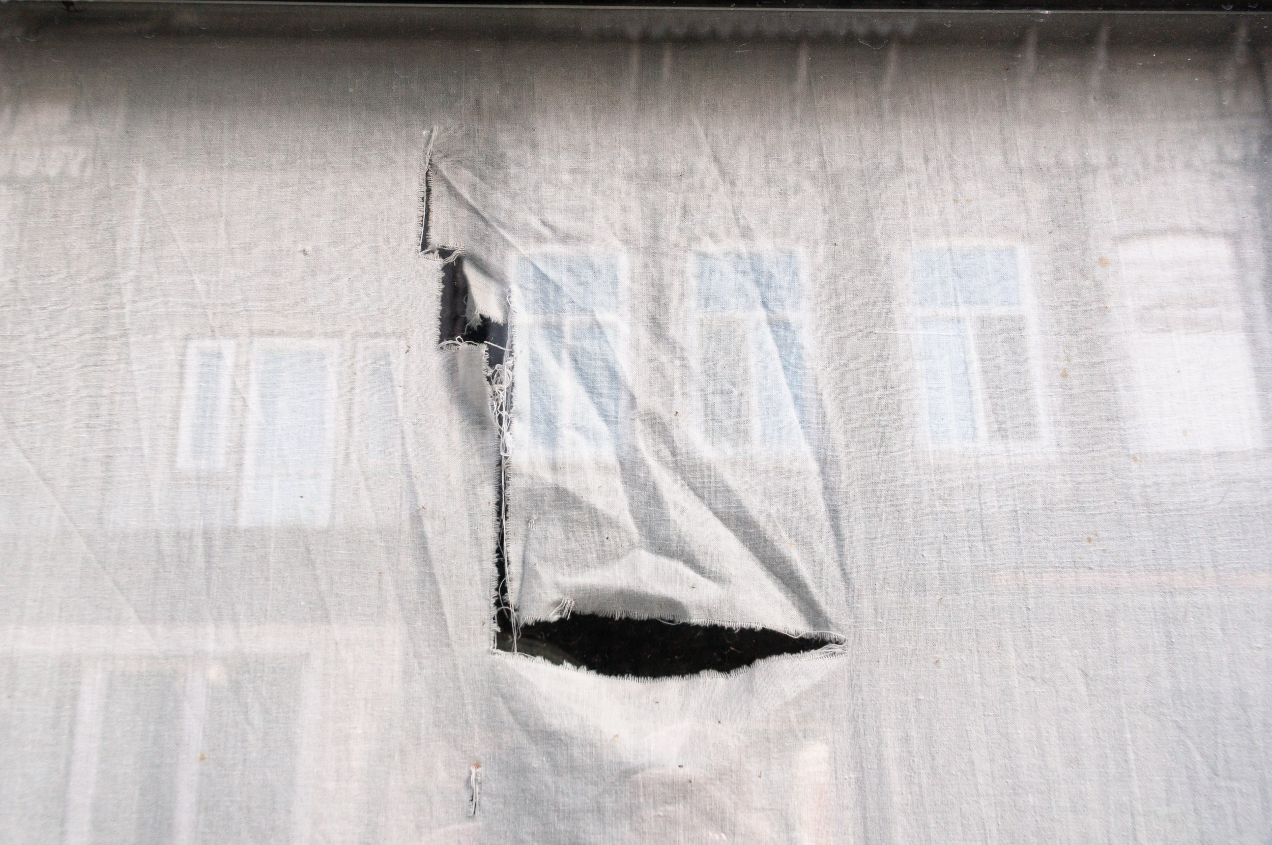 Autofigures. Nikoilay Pak