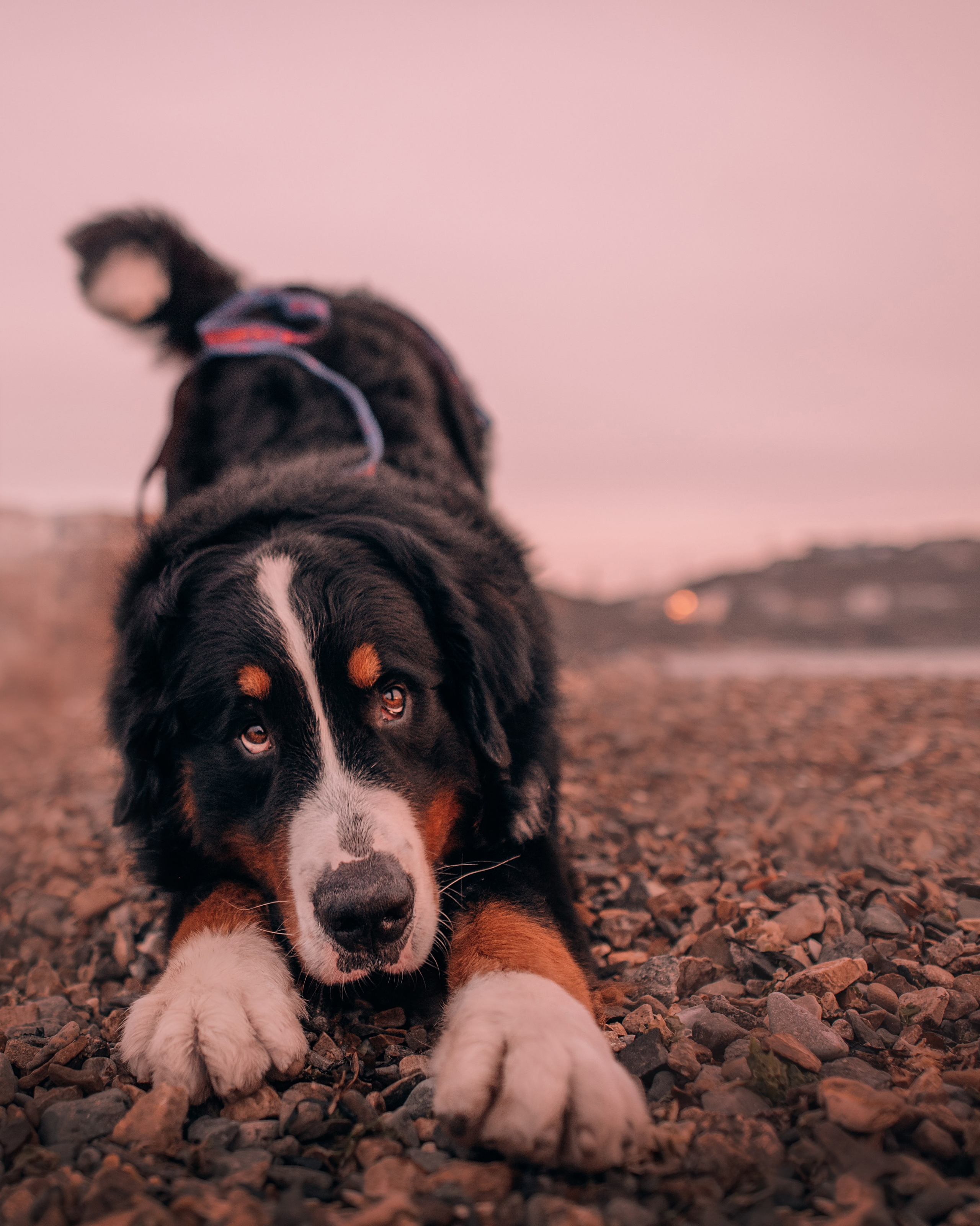 Владивосток: Марс и Маша. Портфолио