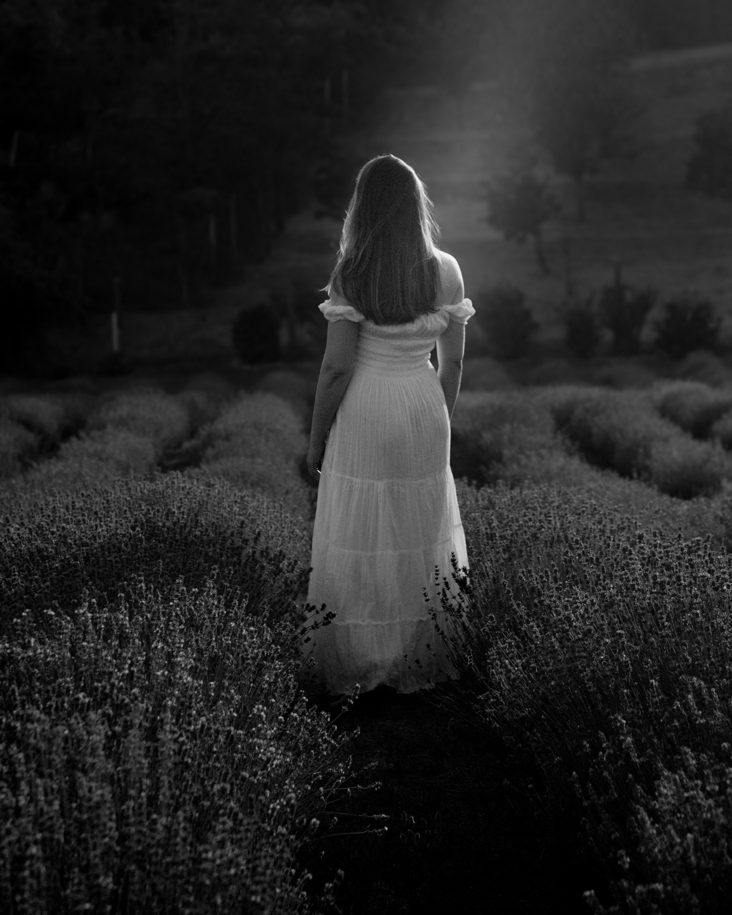 On a lavender field. Portrait photographer Olga Prokopova based in Budapest