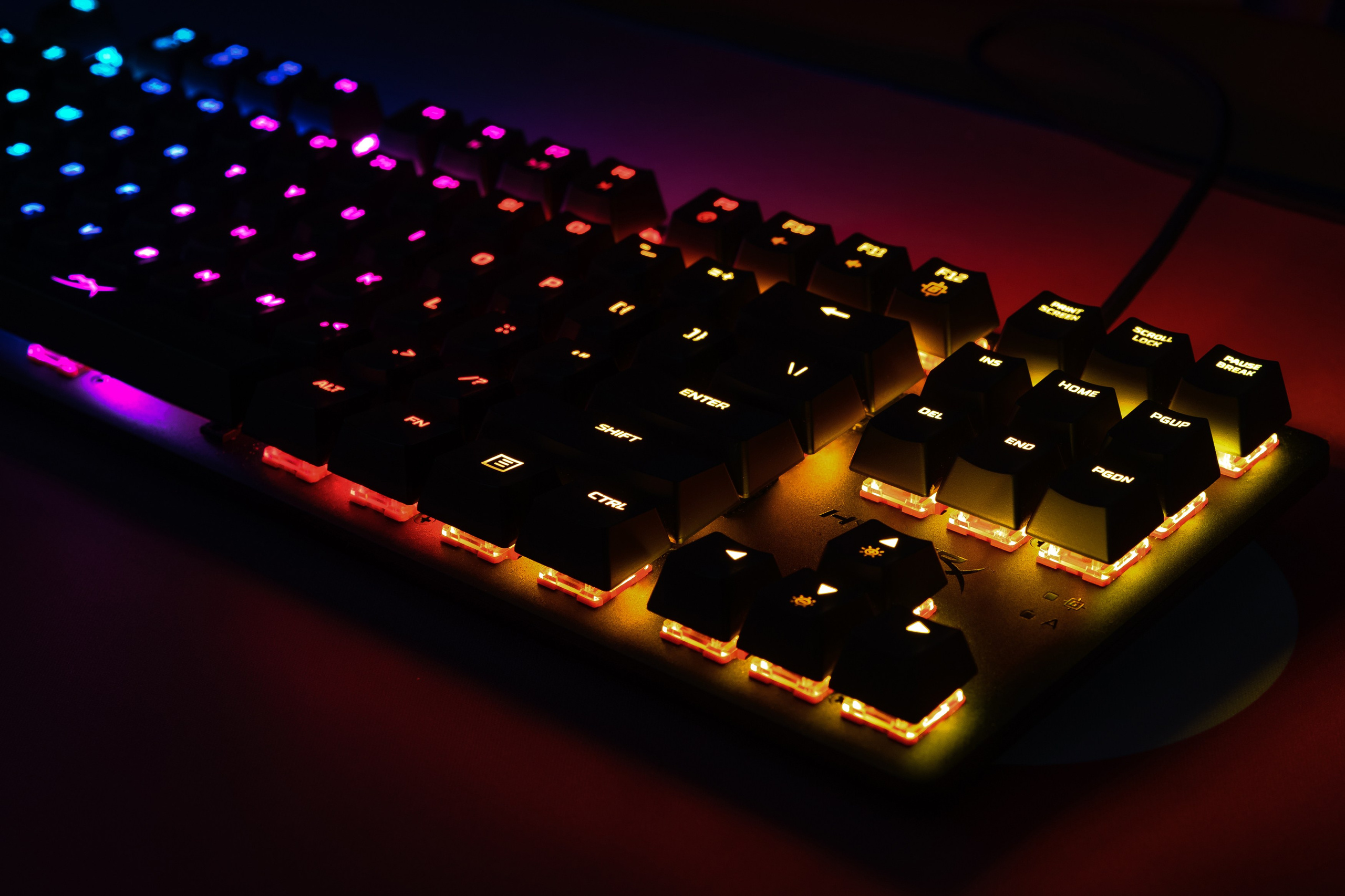 Интерьерная. Кибер Прайд. Женский фотограф в Санкт-Петербурге Степлевич Дарья