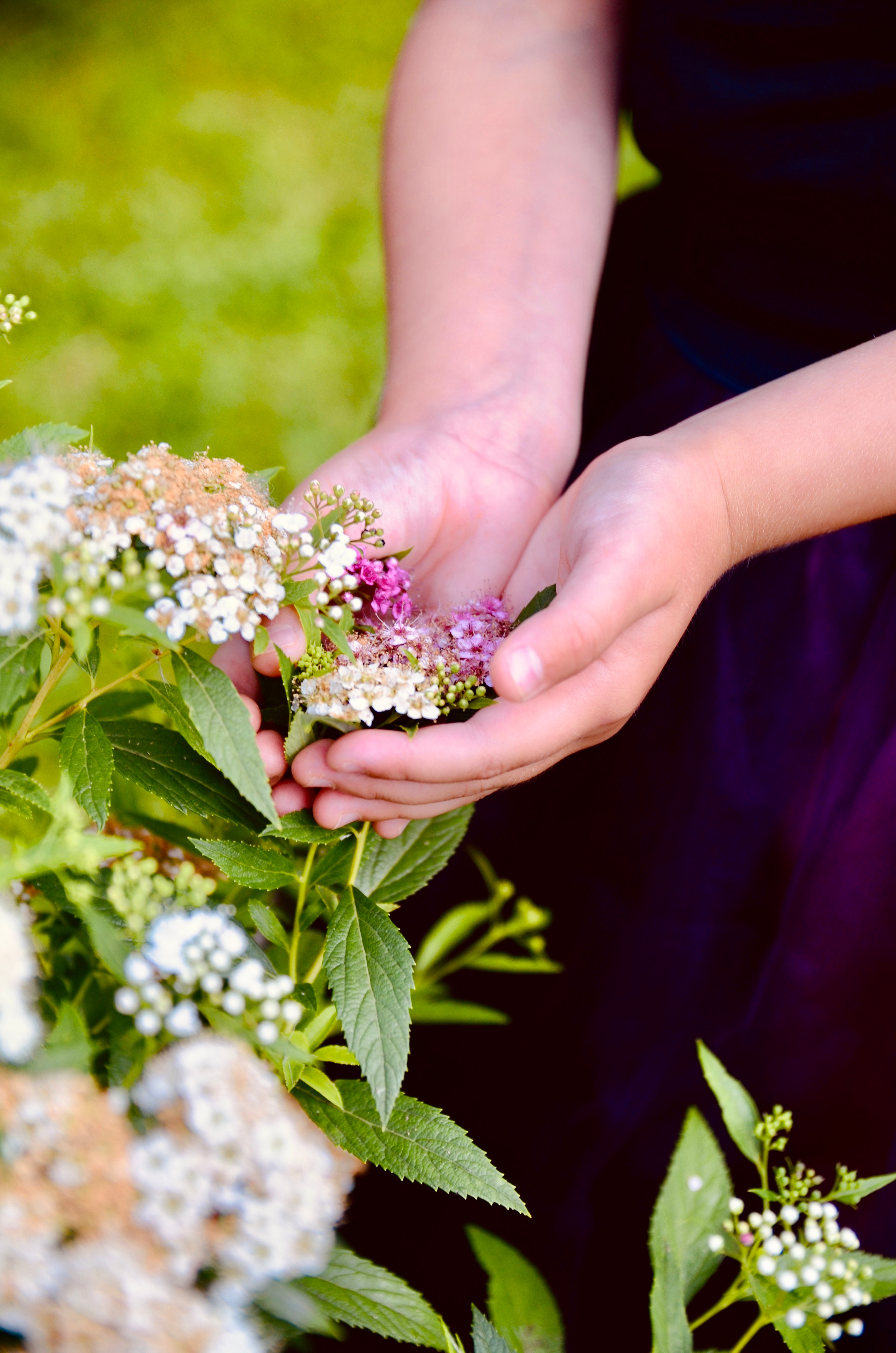 Сказочная повесть. Семейный и детский фотограф Александра Гвоздикова