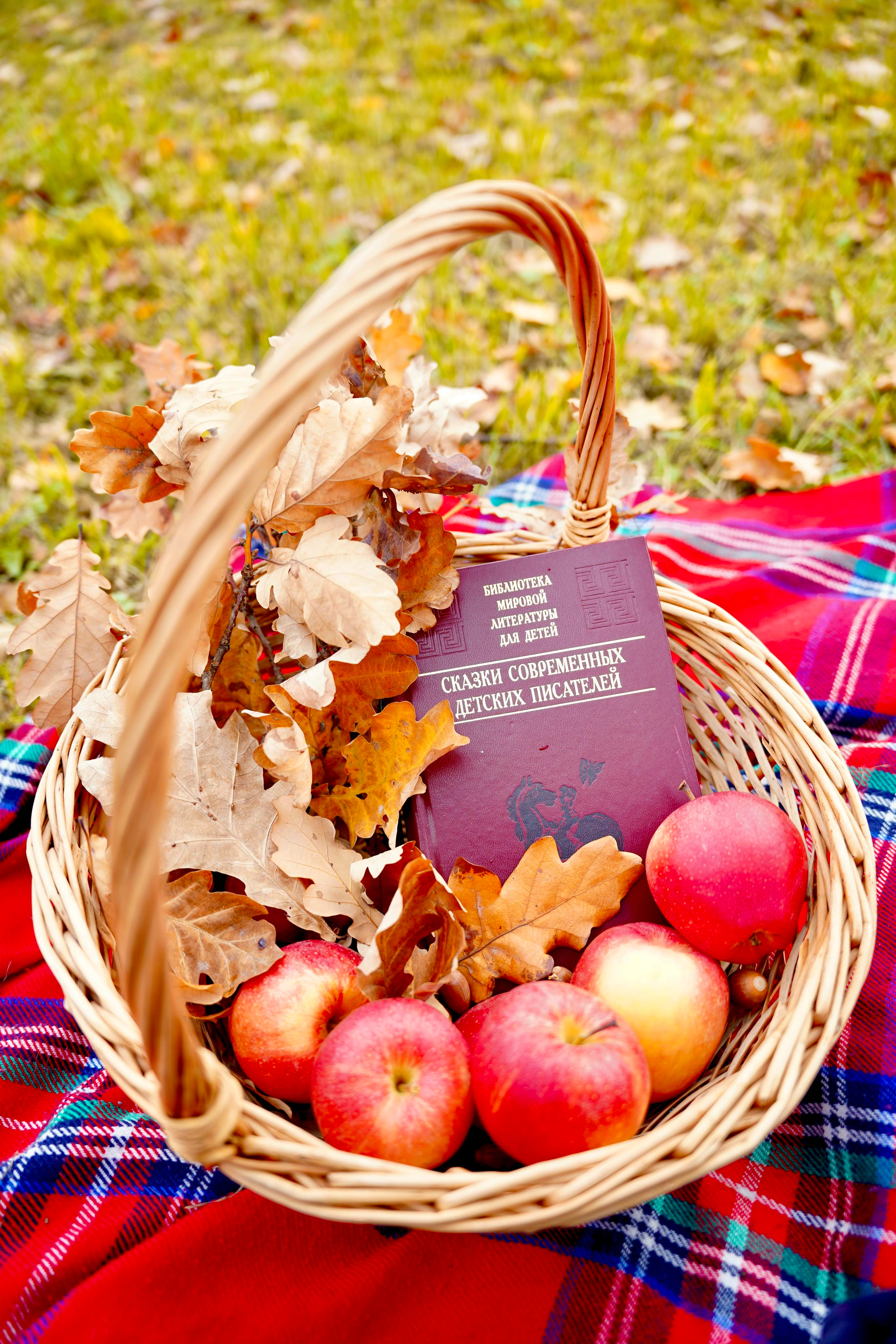 Осенняя прогулка. Семейный и детский фотограф Александра Гвоздикова