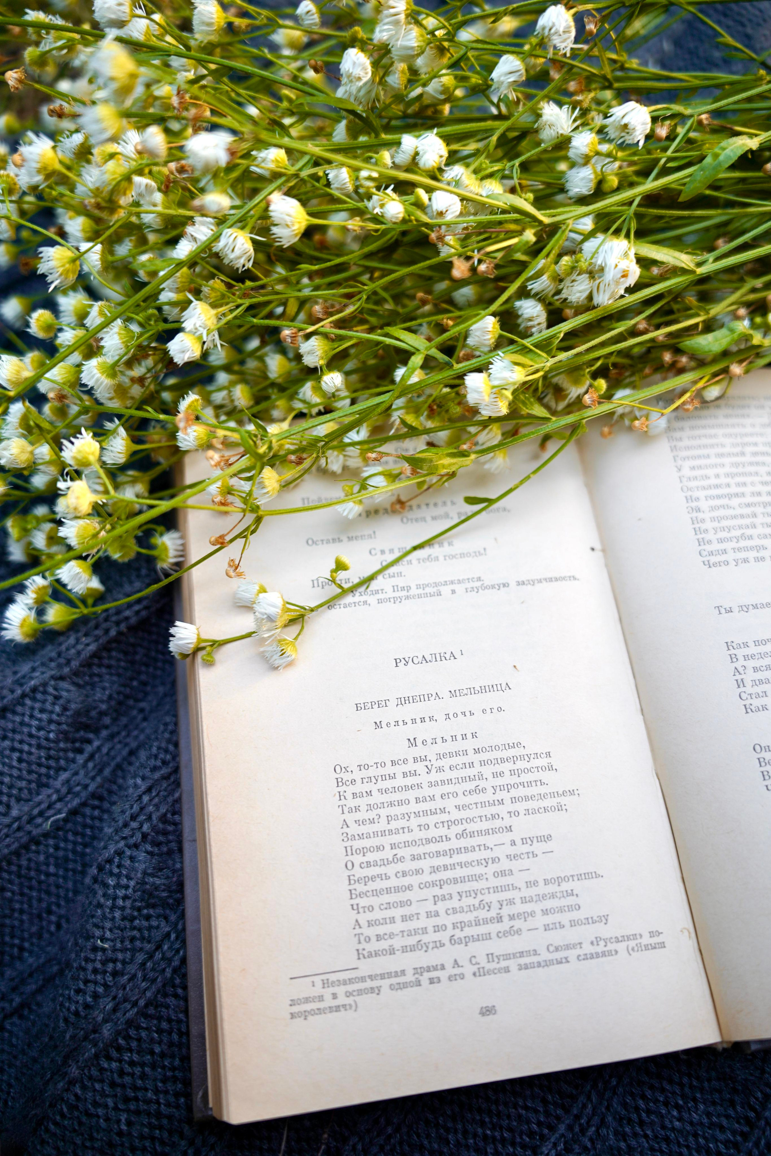 Ангелина — муза Пушкина. Семейный и детский фотограф Александра Гвоздикова