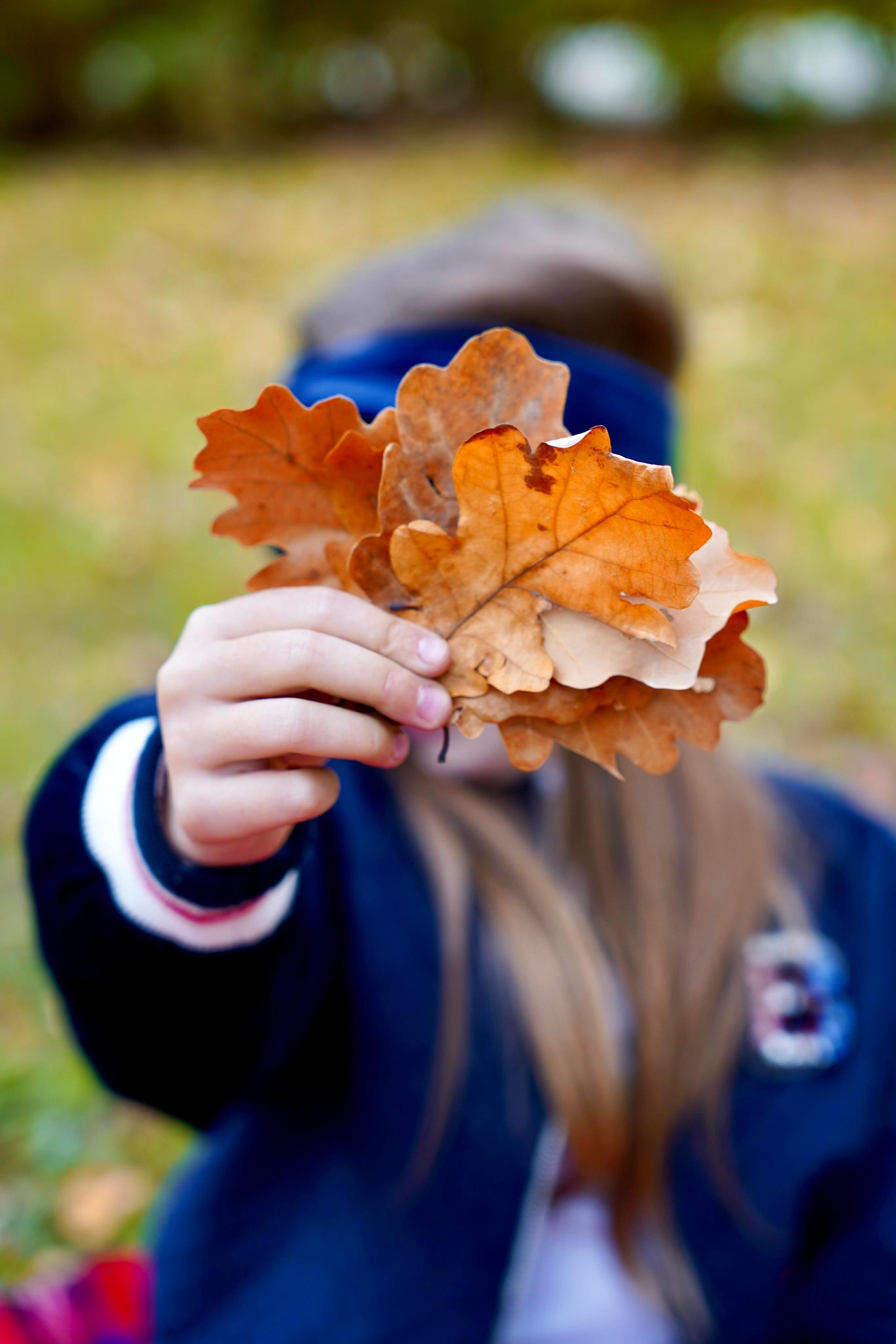 Осенняя прогулка. Семейный и детский фотограф Александра Гвоздикова