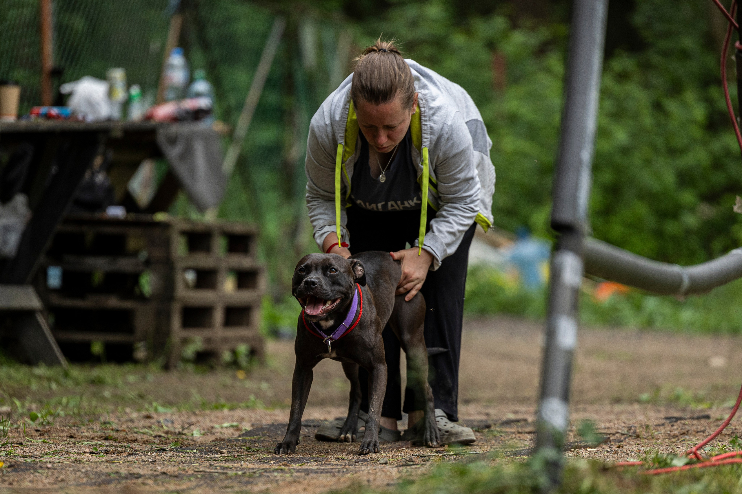 Пит-стафф многоборье. Фотограф-анималист Анна Маринич