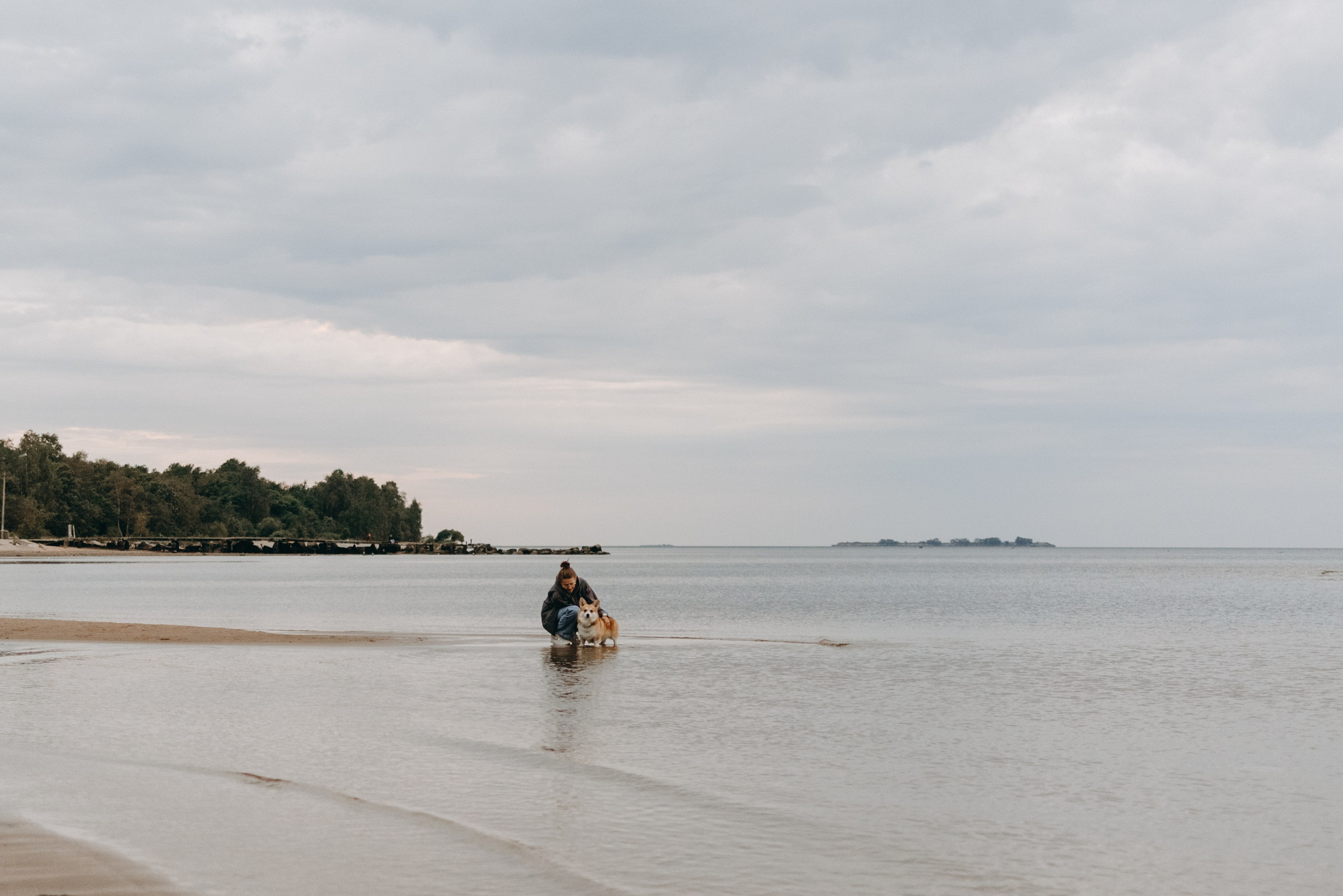 Лиза и Бакс. Фотограф — Анималист | Санкт-Петербург