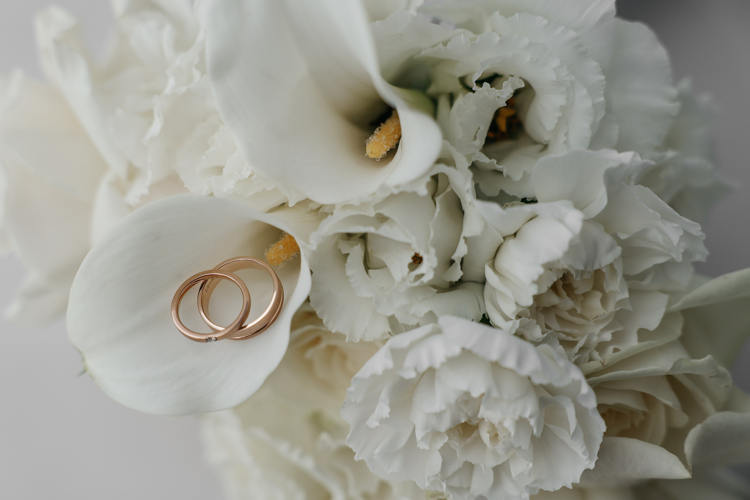 Артем и Дарья. Свадебный и семейный фотограф в Ростове-на-Дону Марианна Хахладжева