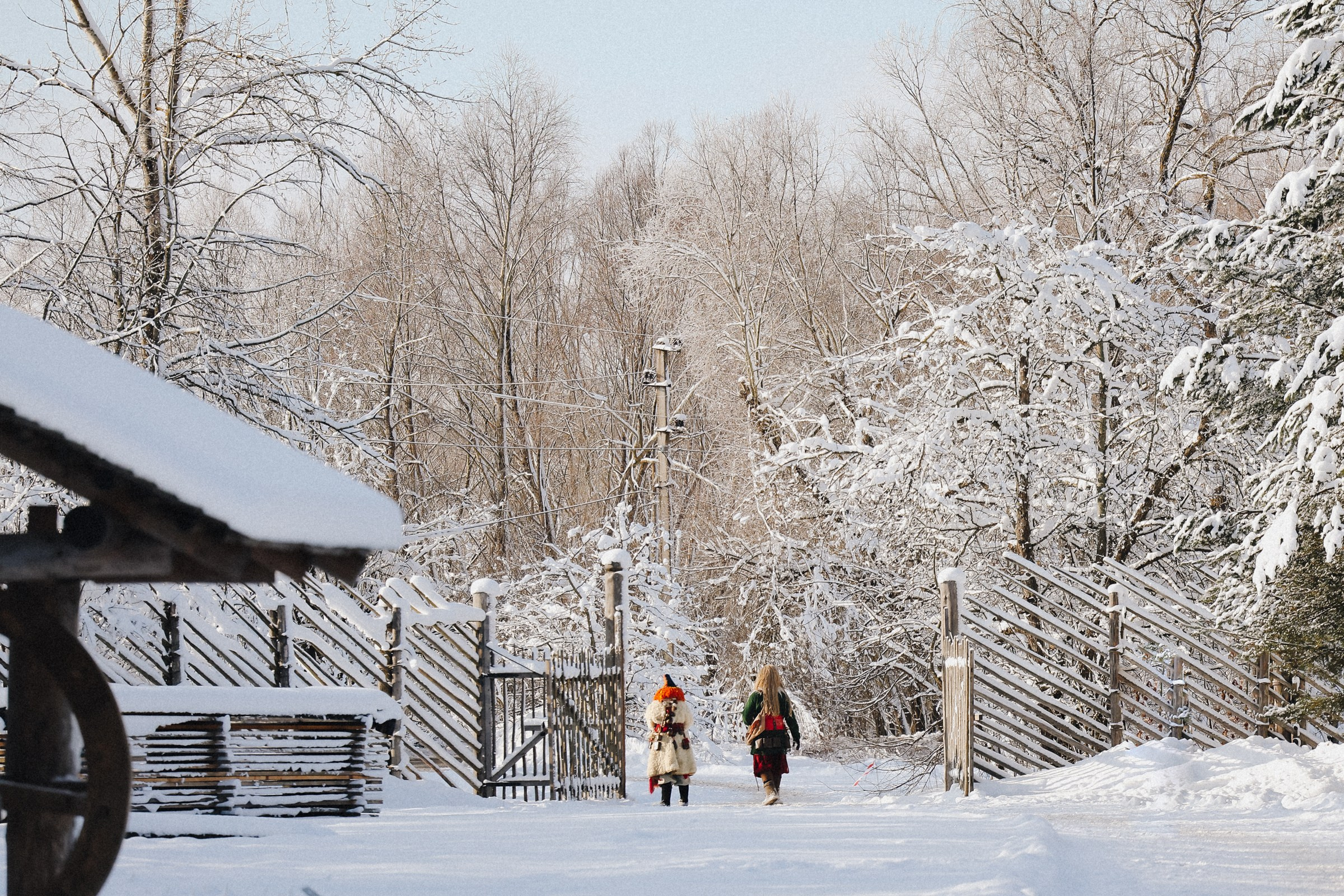 /РЕПОРТАЖ/ NOVGOROD ICE 2025. Свадебный фотограф Великий Новгород Станислав Кособудский