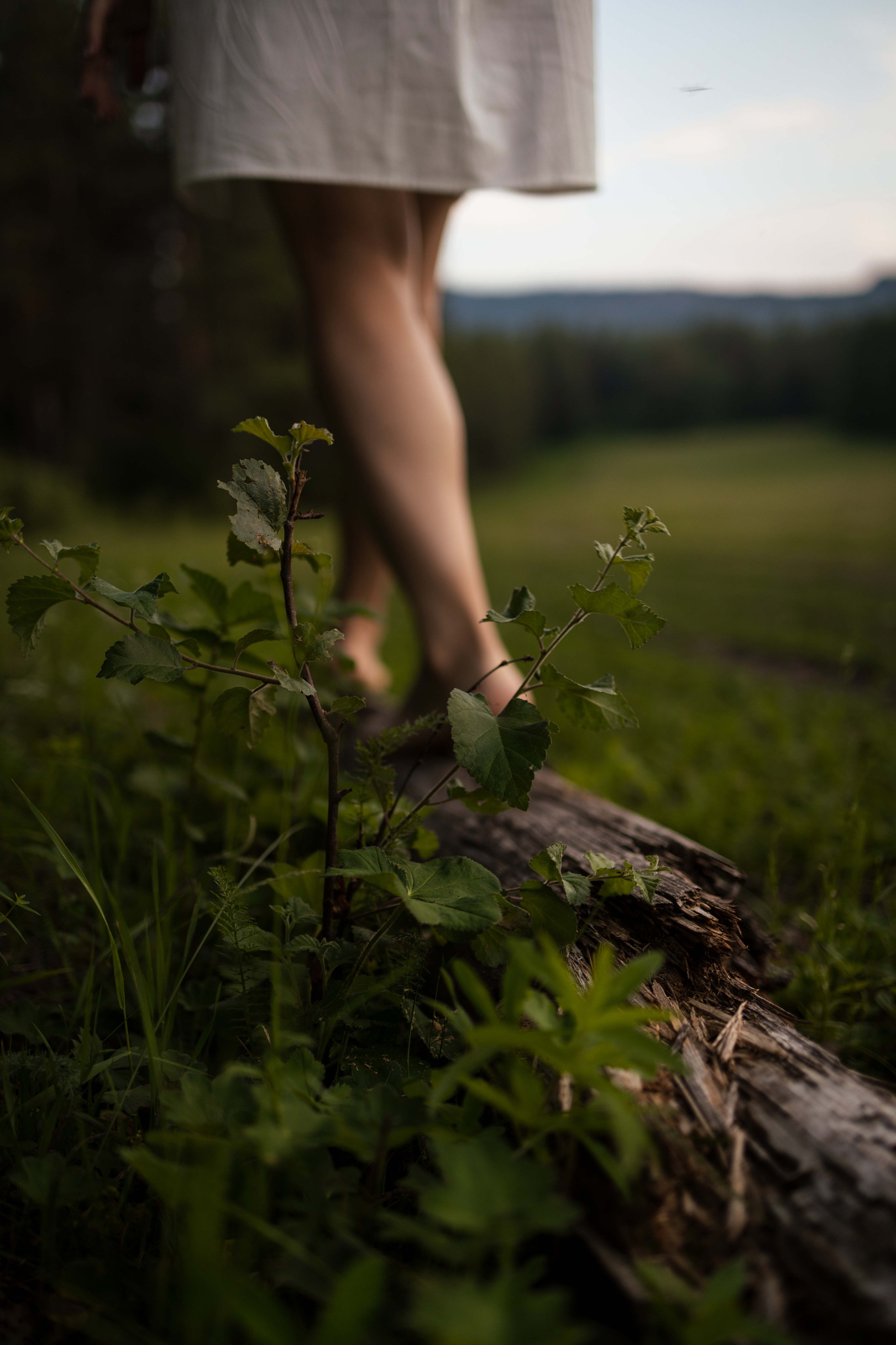 Наина. Алина Камалова