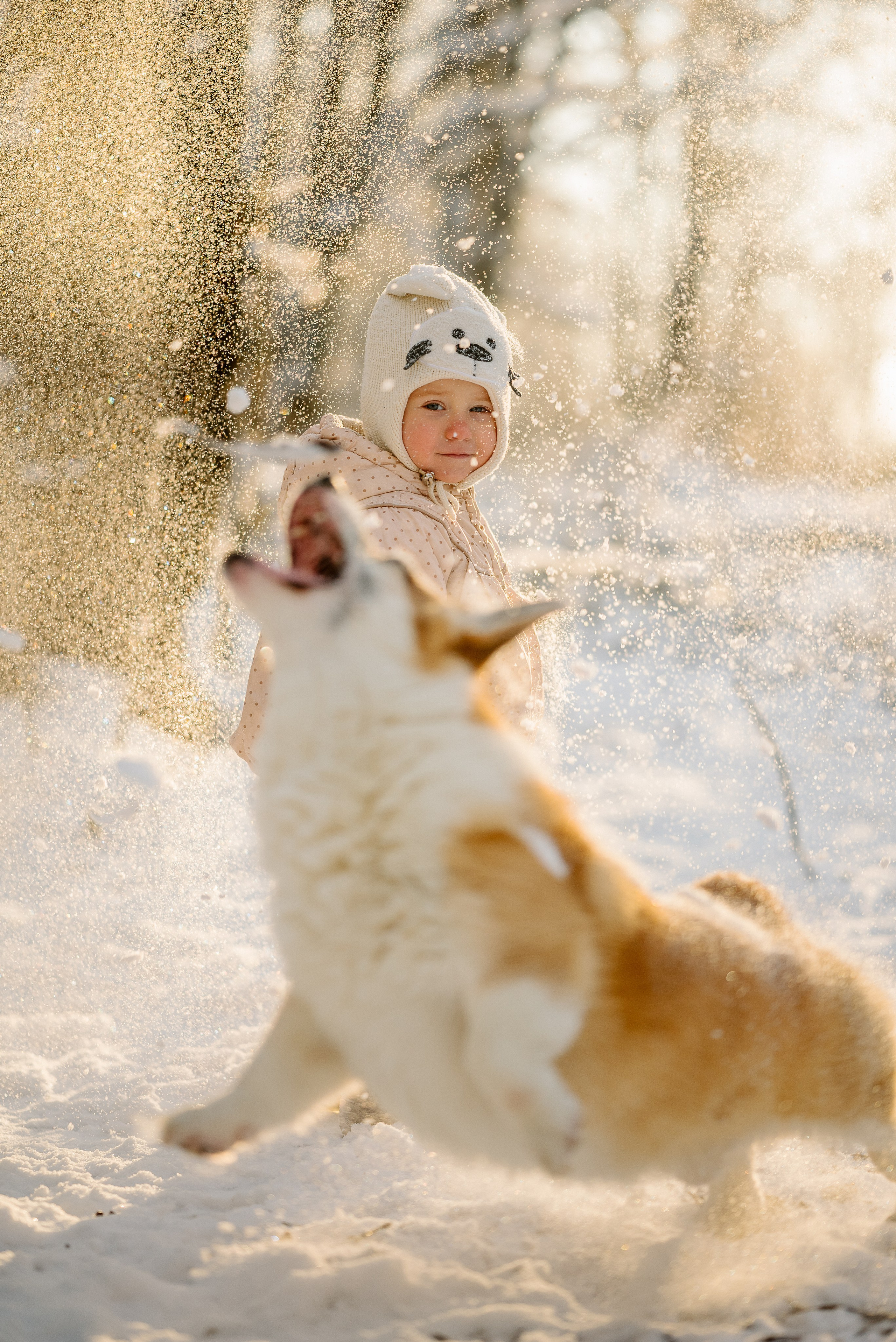 Зима. Ваш свадебный и семейный фотограф