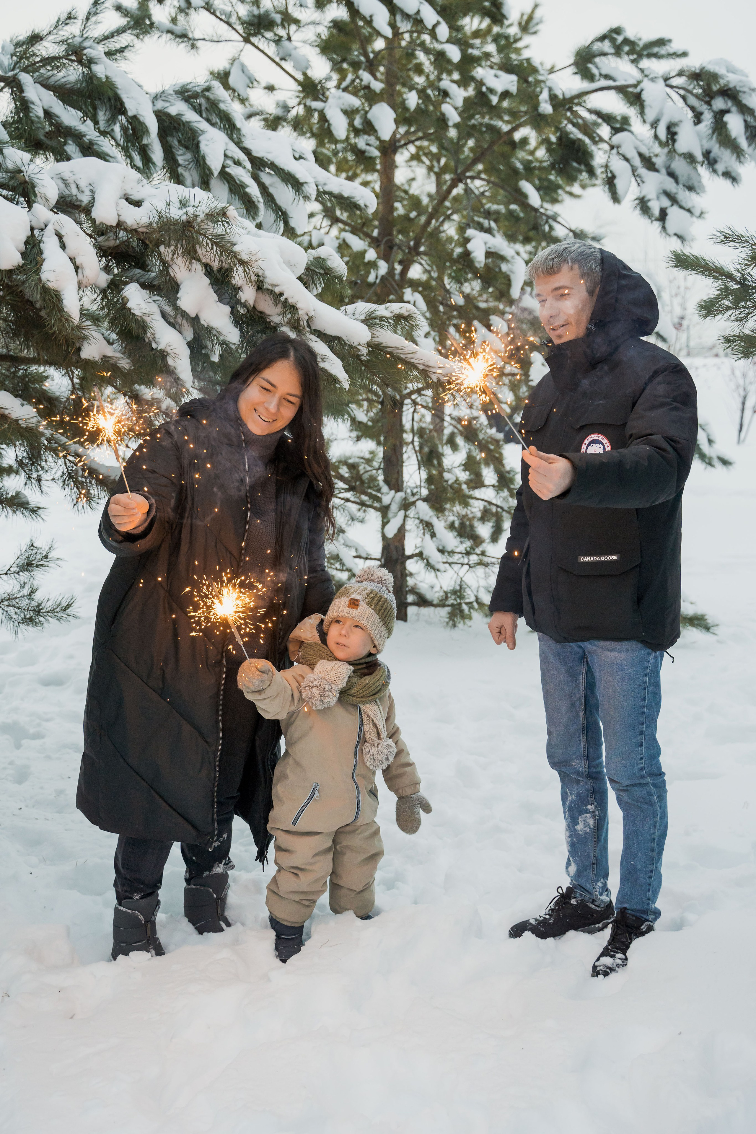 Зимняя прогулка. Главная