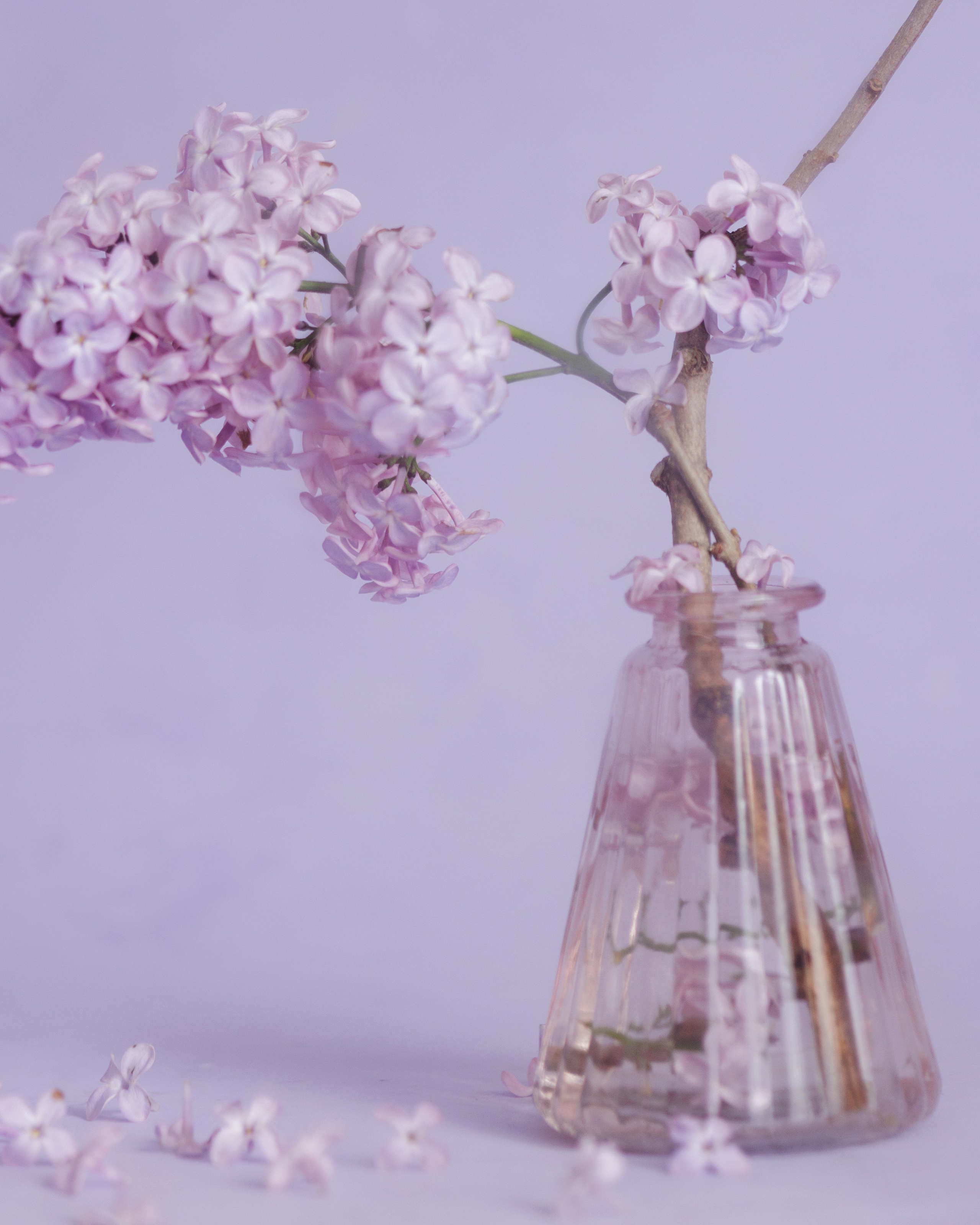 Delicate Balance. Author’s fine art prints with international delivery