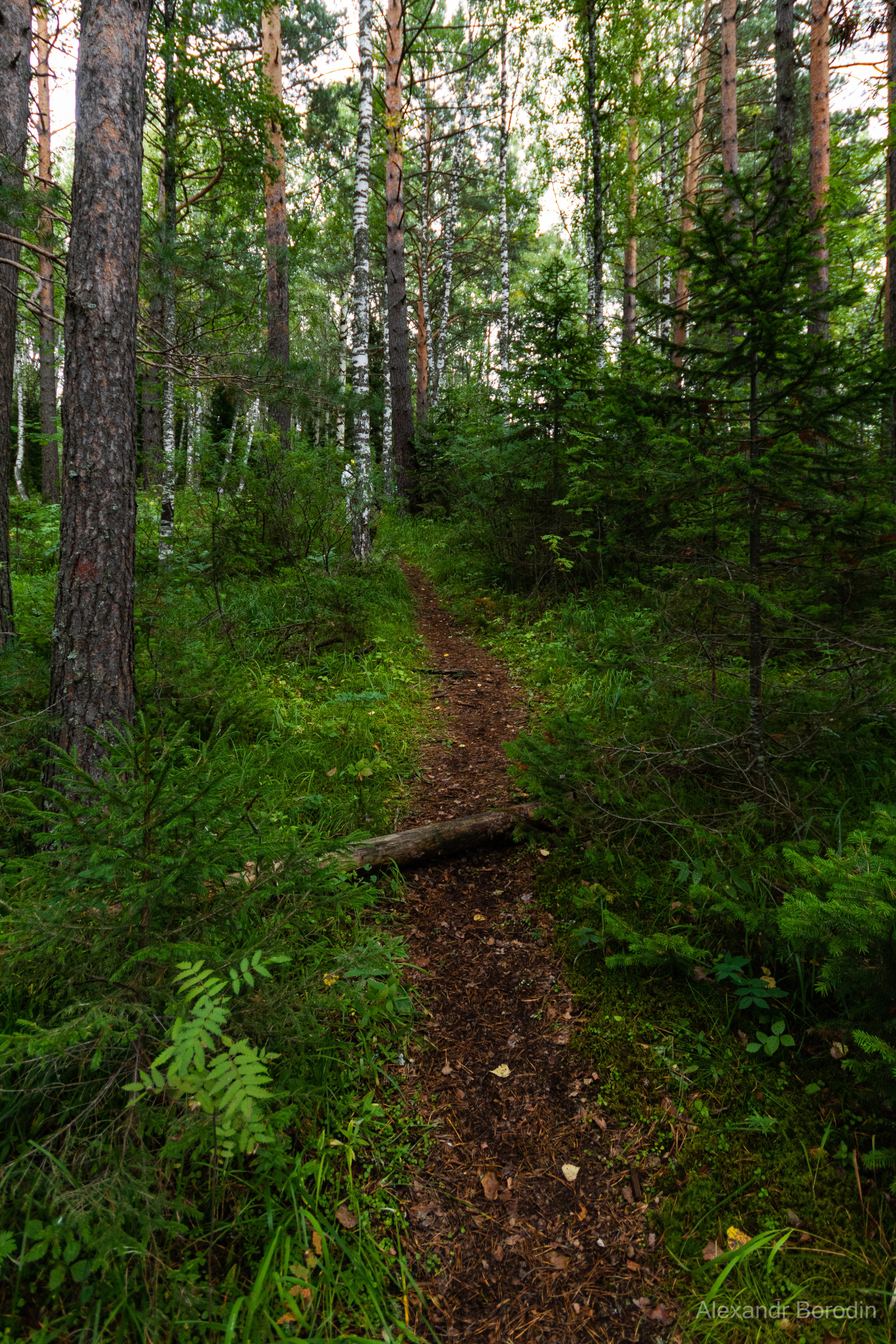 Пейзажи. Профессиональный фотограф Александр Бородин