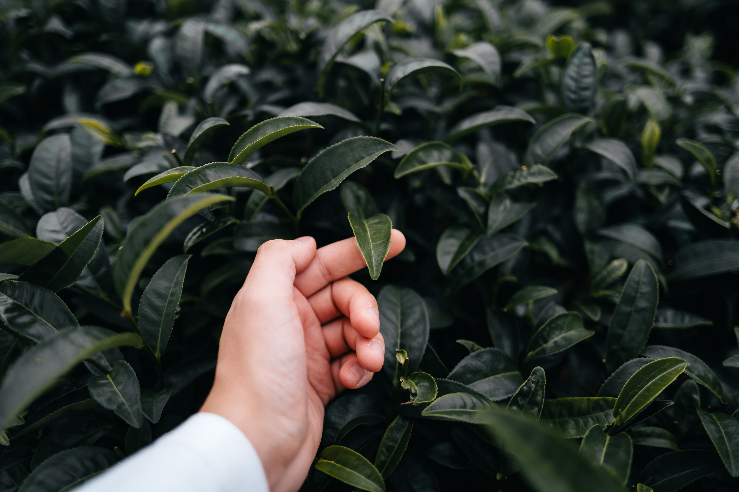 China/Китай. @tomrus: Рустам Шагиморданов — фотограф