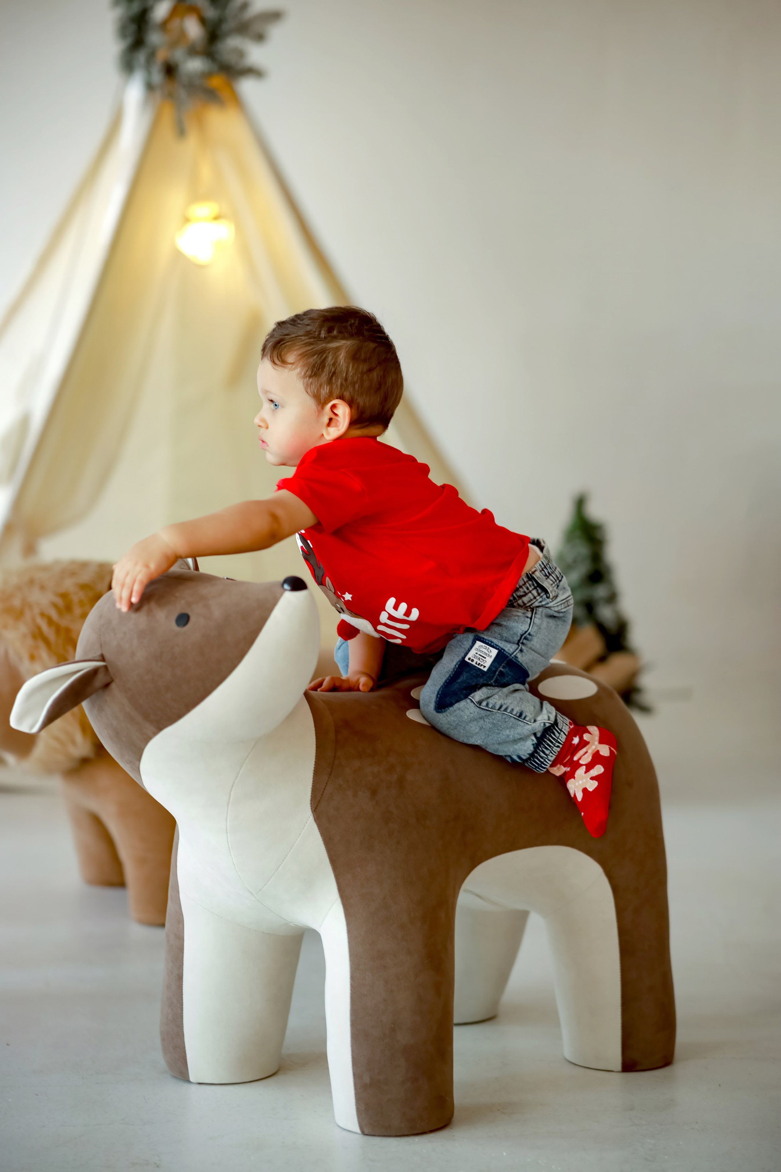 Яркий Новый год в семье Льва. Фотограф в Санкт-Петербурге Знаменская Ирина