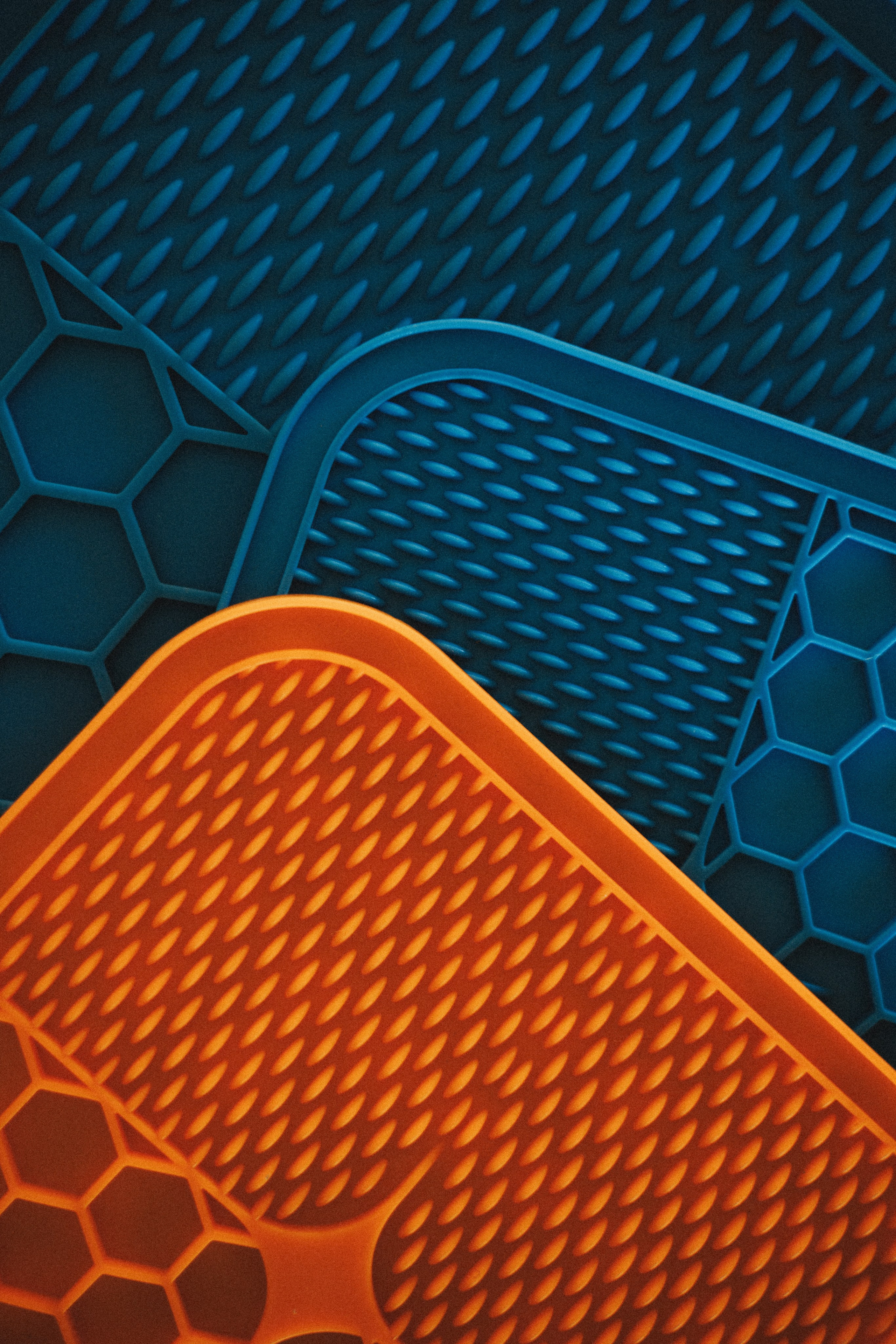 M-Pets. Фотограф анималист Осипчикова Мария