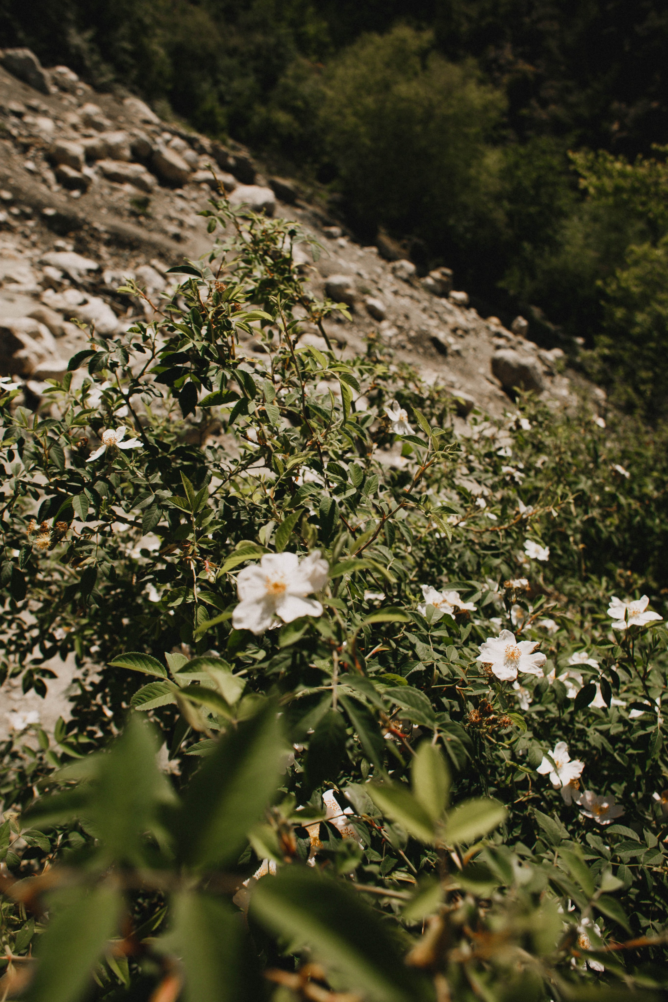 Дагестан. Чечня. 2024. Фотограф в Нижнем Новгороде
