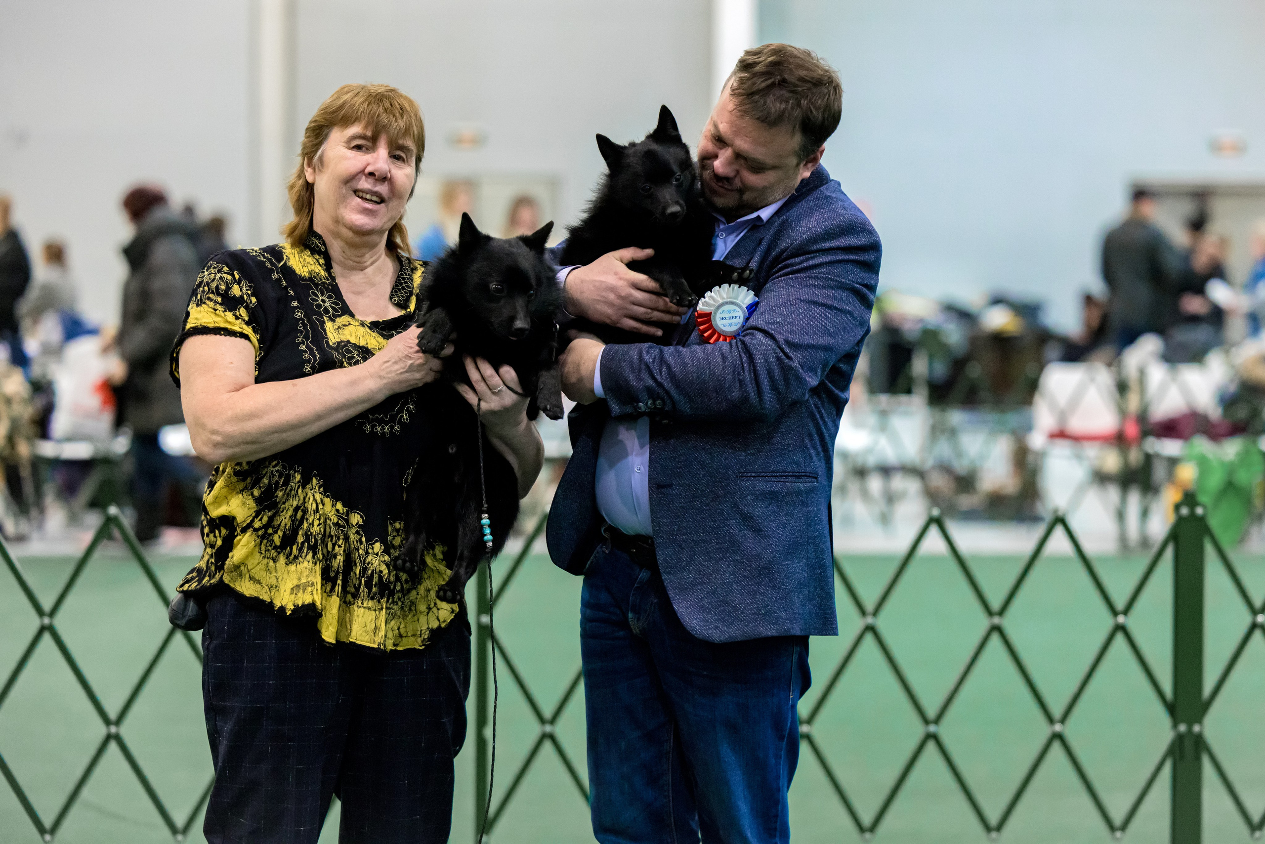 Крокус 3,9 и 10.12.2023. Фотограф-анималист Юлия Германика