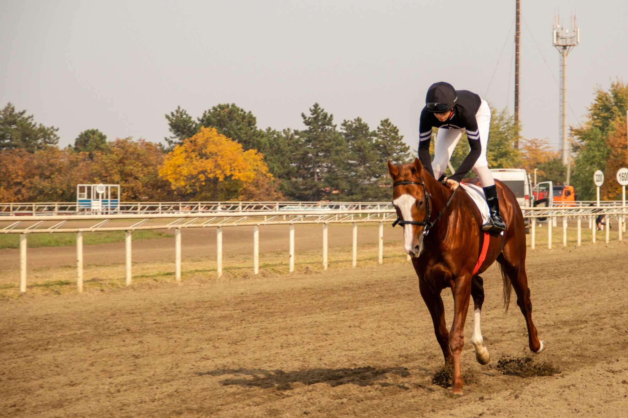 Закрытие скакового сезона на Краснодарском ипподроме. Репортажный, промышленный и маркетплейс-фотограф Дмитрий Чернат