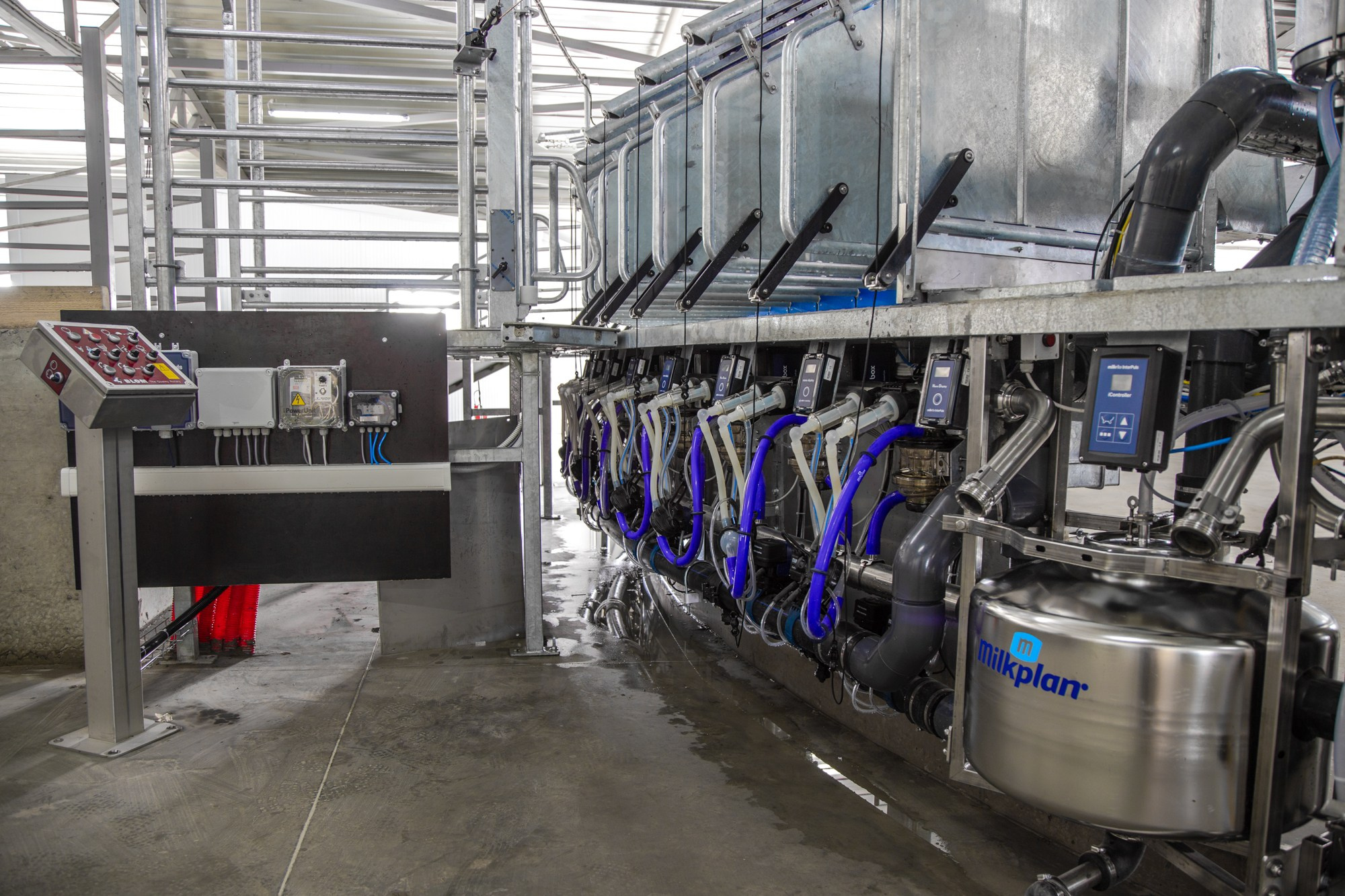 Открытие карусели для дойки скота. Репортажный, промышленный и маркетплейс-фотограф Дмитрий Чернат