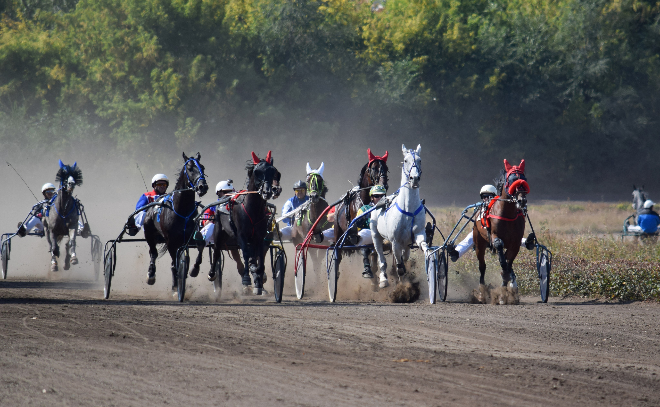 Кубок Губернатора, ипподром Саратов, 2019 г. Конный фотограф в Саратове Юлия Иванова
