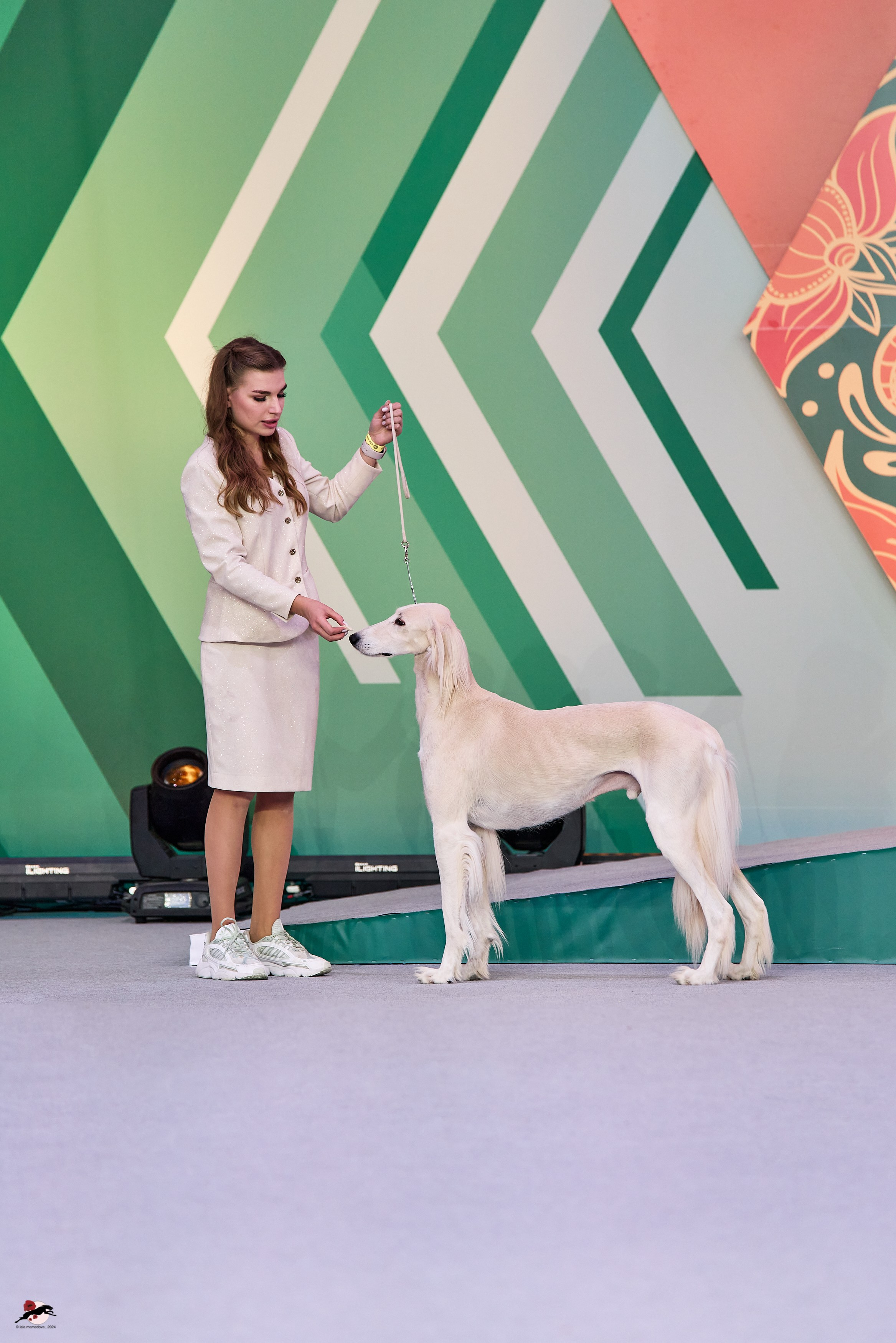 17.11.2024 «ЕВРАЗИЯ. КУБОК СНГ 2024»