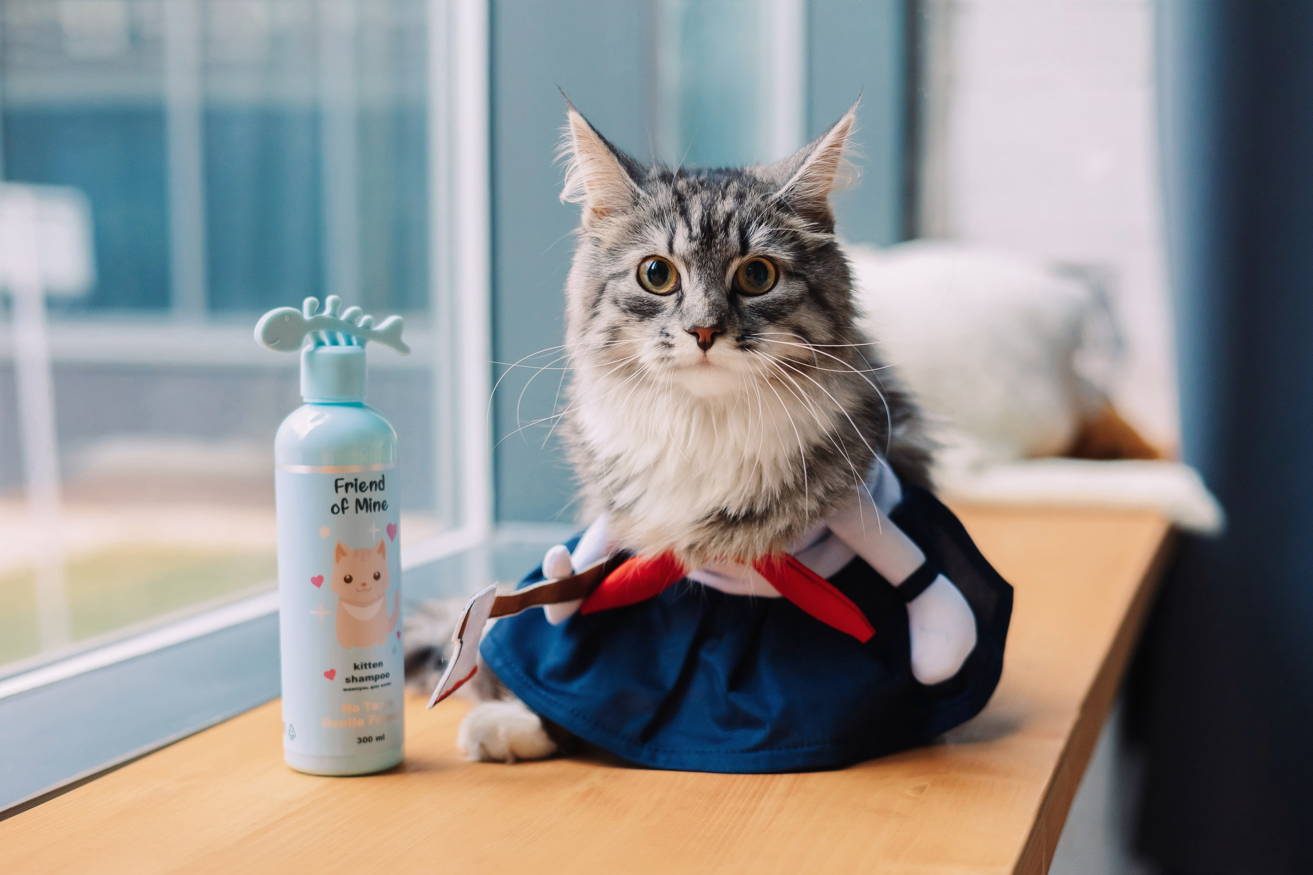 Магазин Friend of mine. Фотограф-анималист Елена Радченко, Москва