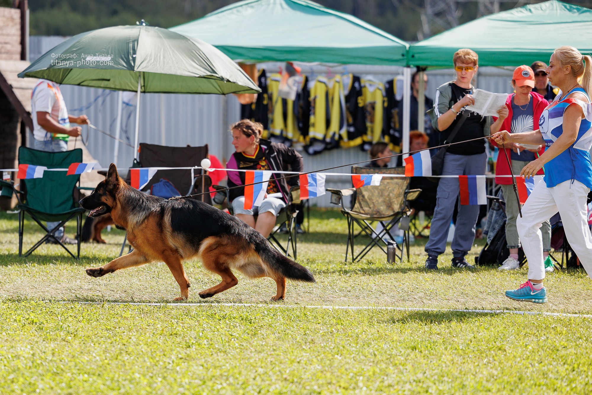Немецкие овчарки: фото из рингов и вне ринга, мутпроба (фотографии с выставок). Фотограф собак, фотограф-анималист Аня Титова (Titanya). Москва
