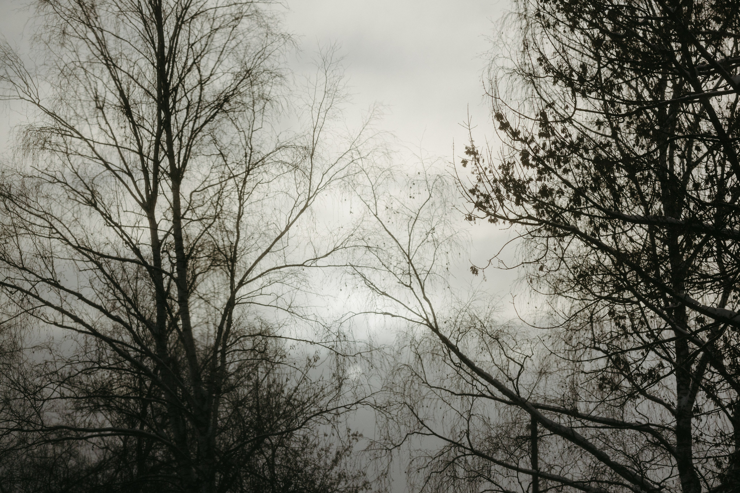 Виды из поезда. Фотограф Эльмира Лин