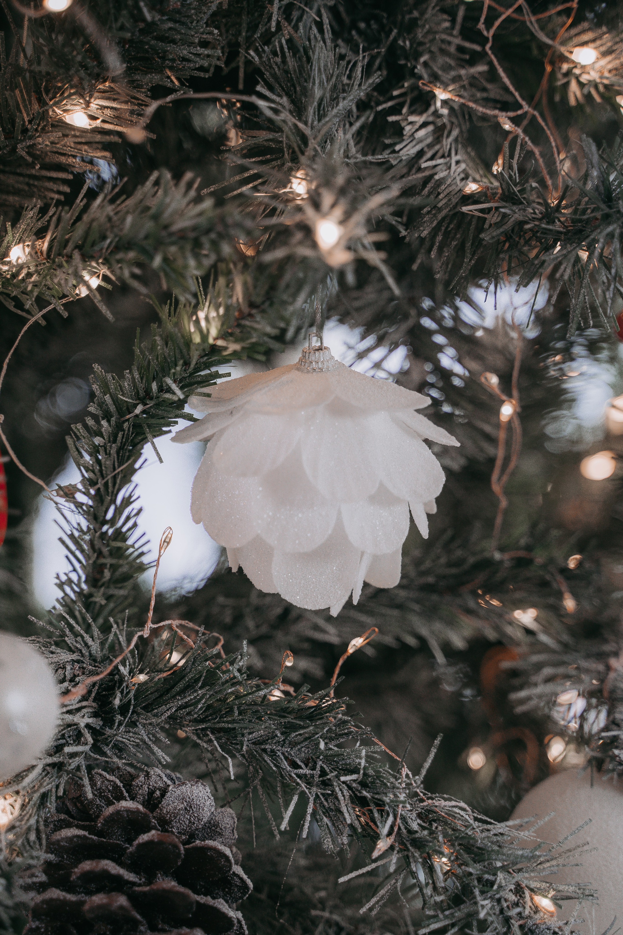 Отзывы. Свадебный фотограф в Чебоксарах