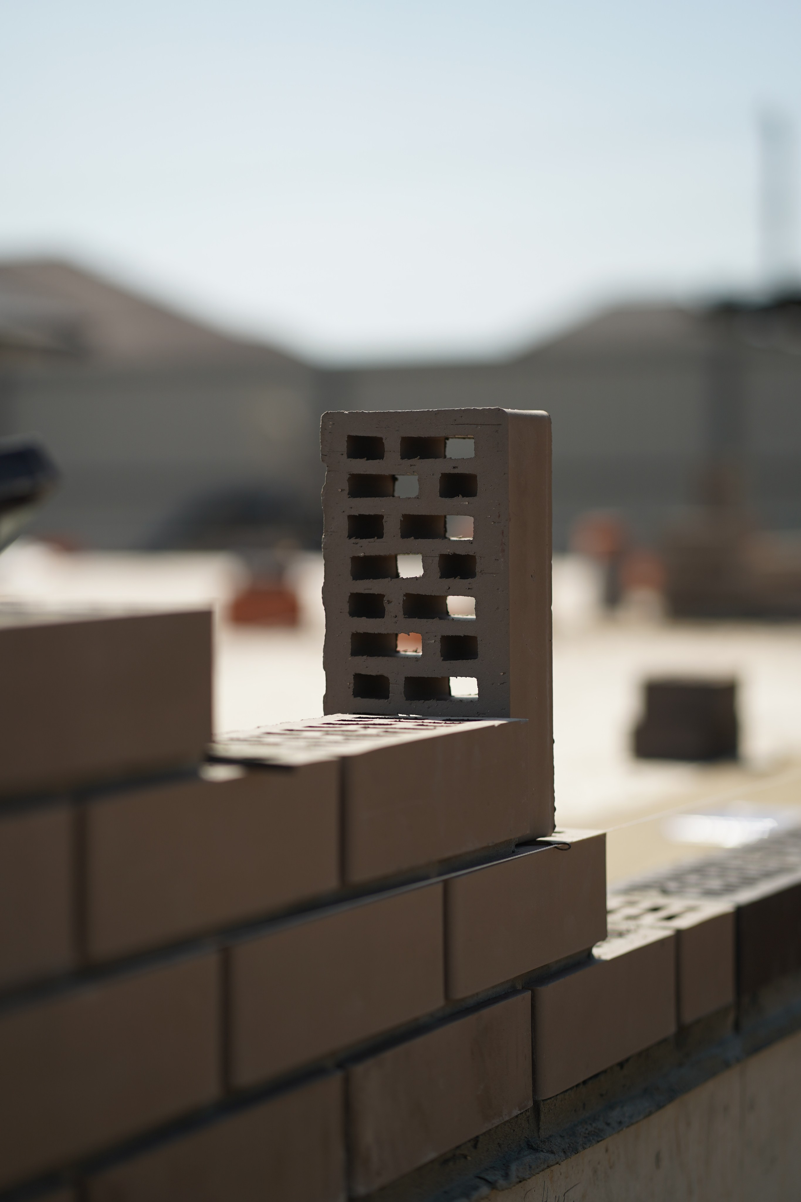 Покровский сад. Das House