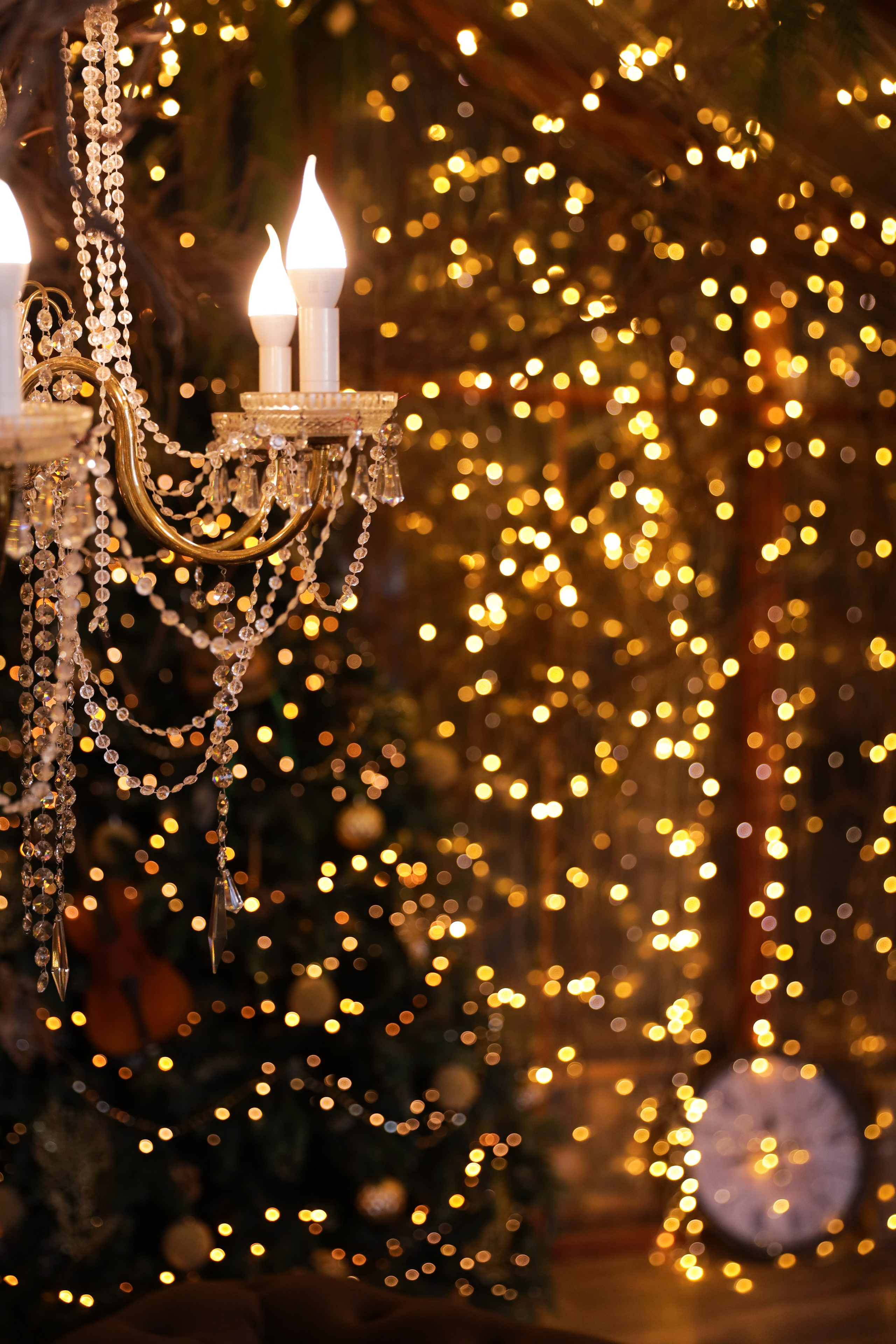 Фотостудия «Роял» зал Теплица. Свадебный фотограф в Ростове Александра Груздева