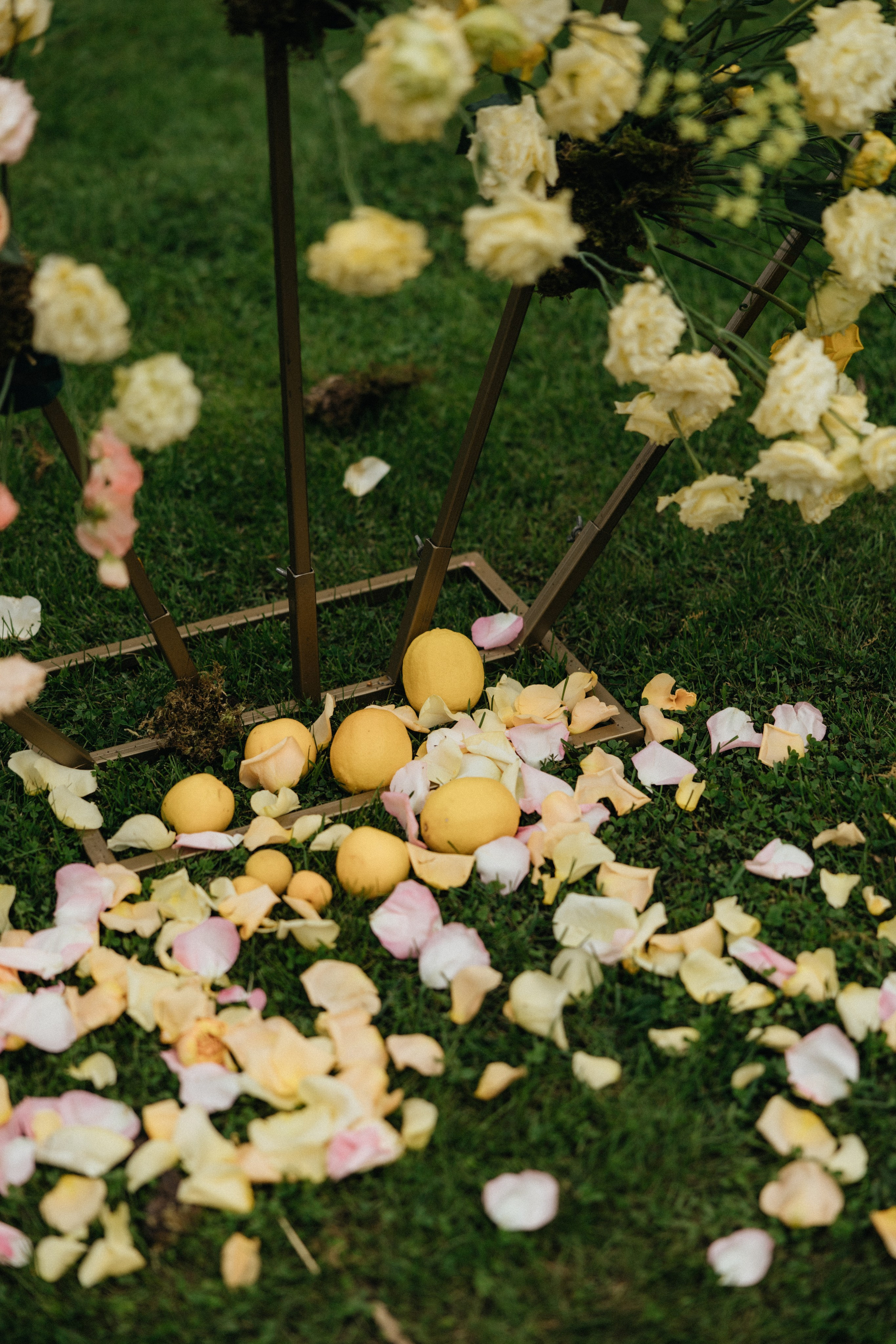 Север-юг. Фотограф Санкт-Петербург