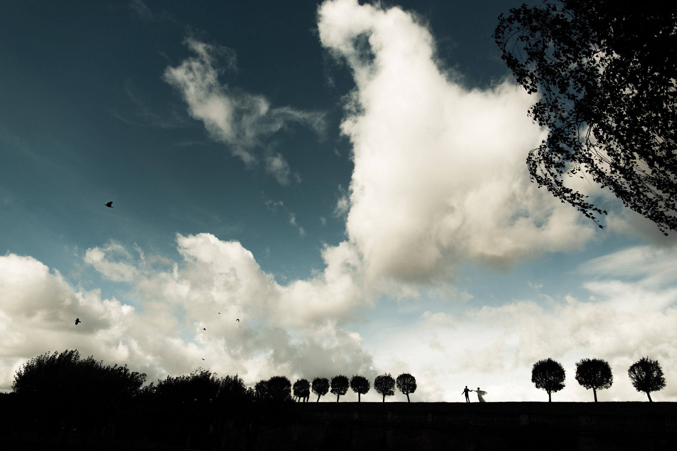 Свадебный фотограф в СПб Александр Смирнов