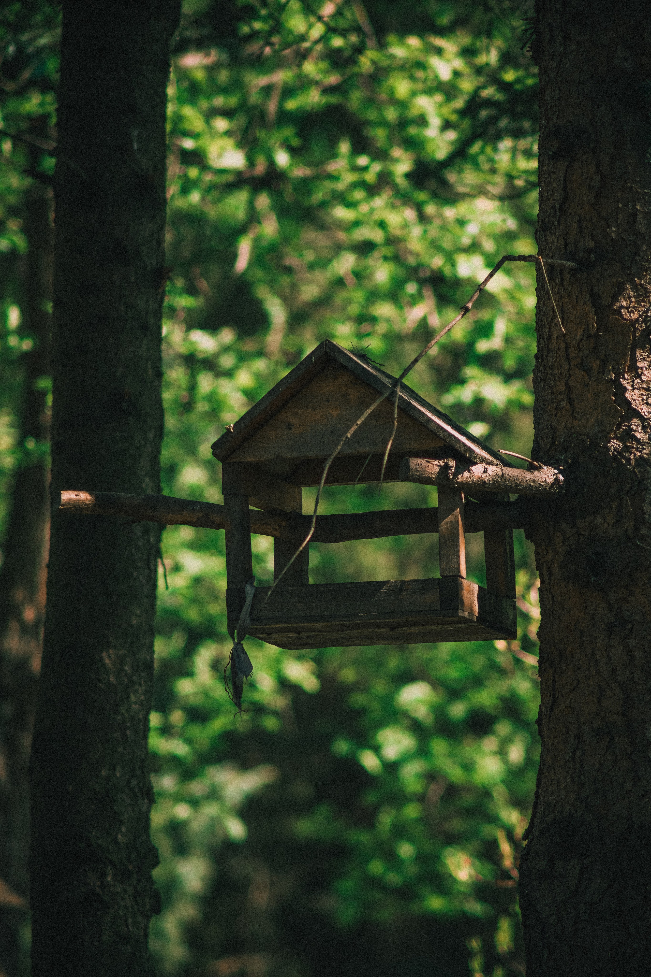 Т Е П Л Ы Й — З Е Л Е Н Ы Й. — Digital Noise —