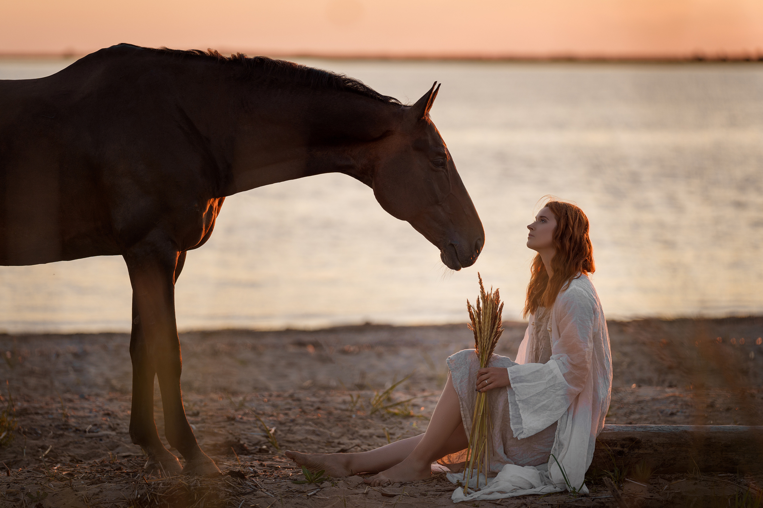 Алена и Бордо. Фотограф в Архангельске Артемьева Катерина