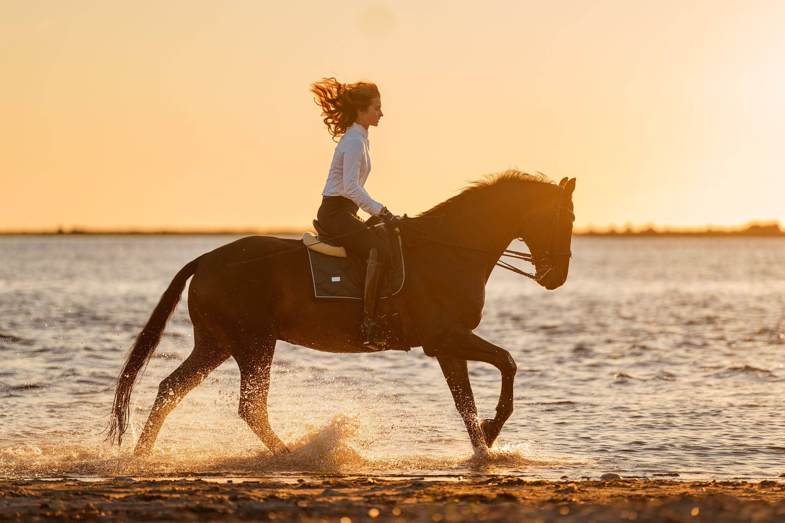 Алена и Бордо. Фотограф в Архангельске Артемьева Катерина