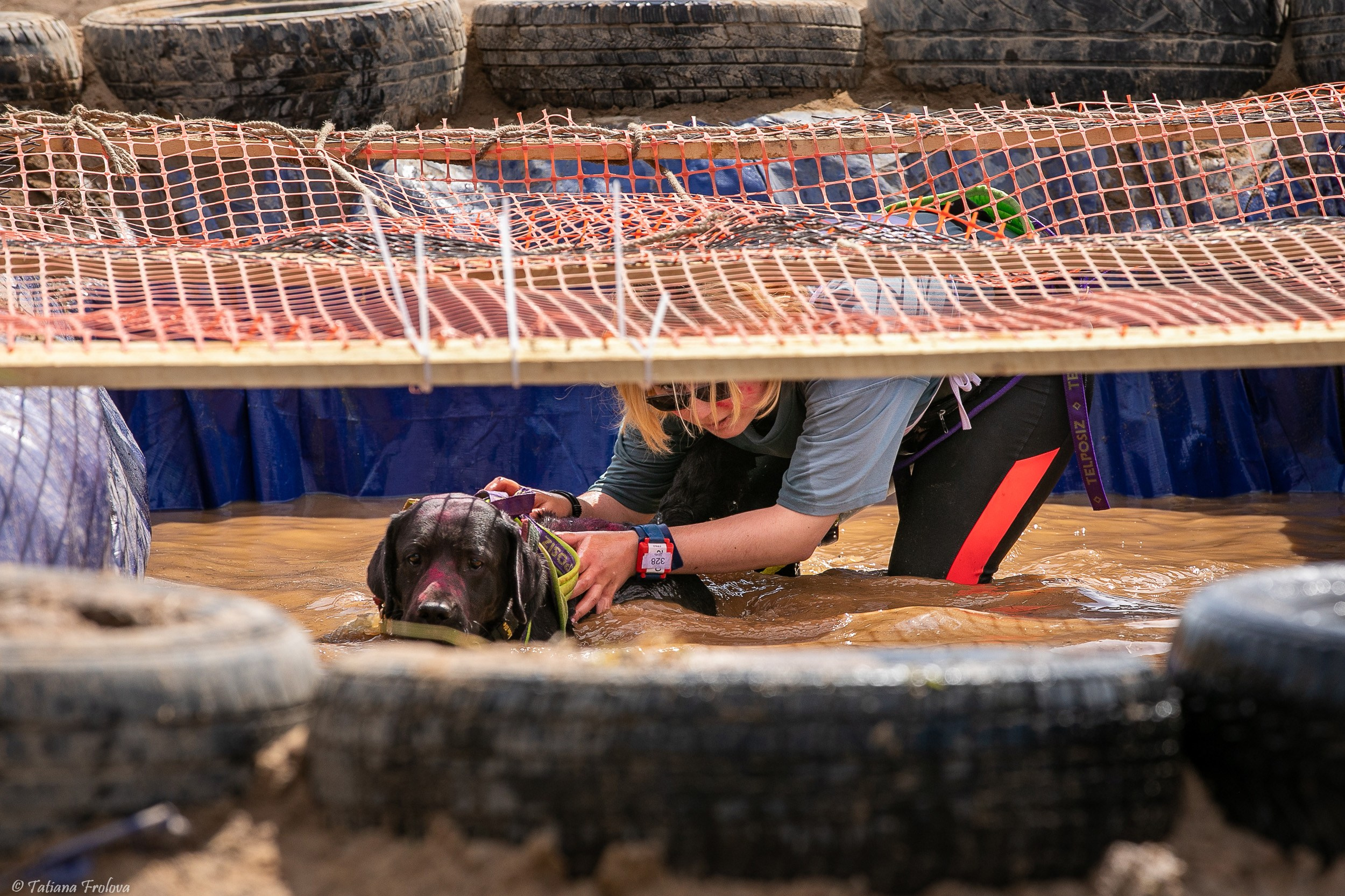 Фоторепортаж с забега с собаками. Фотограф-анималист в Москве и Московской области Татьяна Фролова