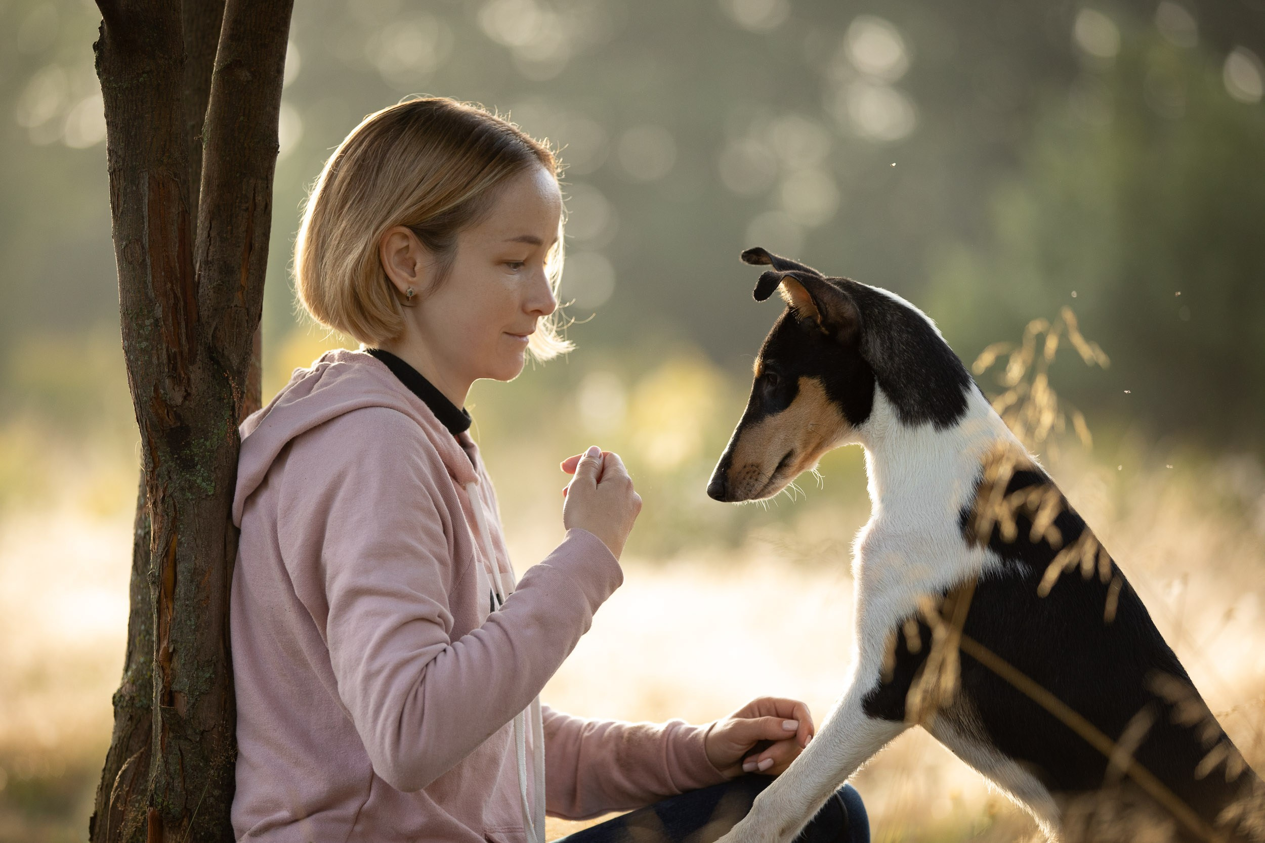 Наташа и короткошерстные колли. Фотограф-анималист в Москве и Московской области Татьяна Фролова