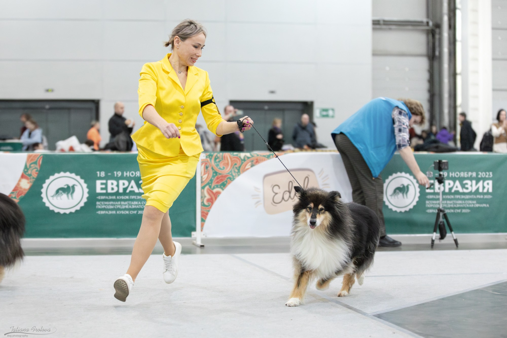 Съёмка в ринге на Евразии, России. Фотограф-анималист в Москве и Московской области Татьяна Фролова